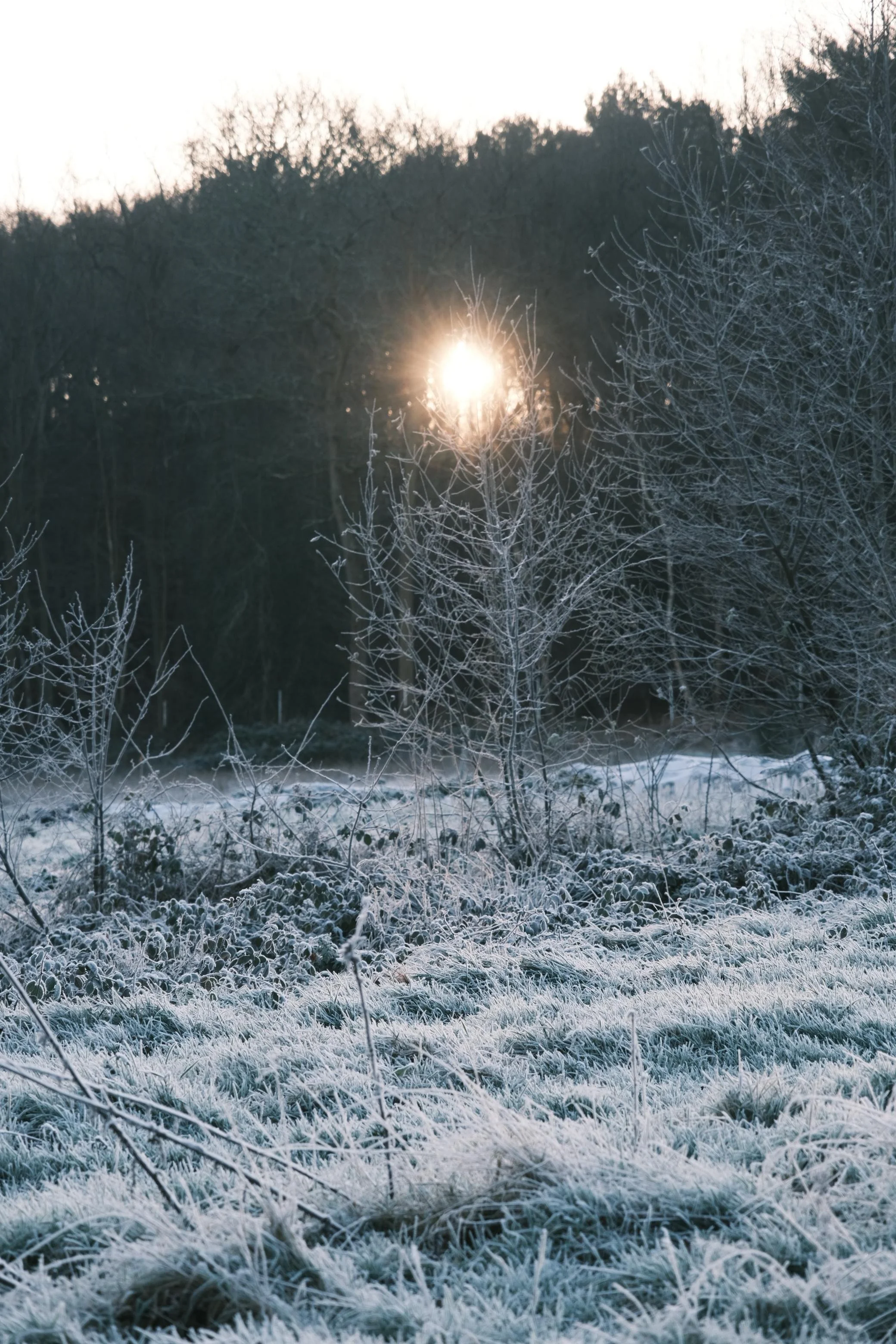 WhatsApp Image 2025-12-17 at 16.10.14 (2).jpeg