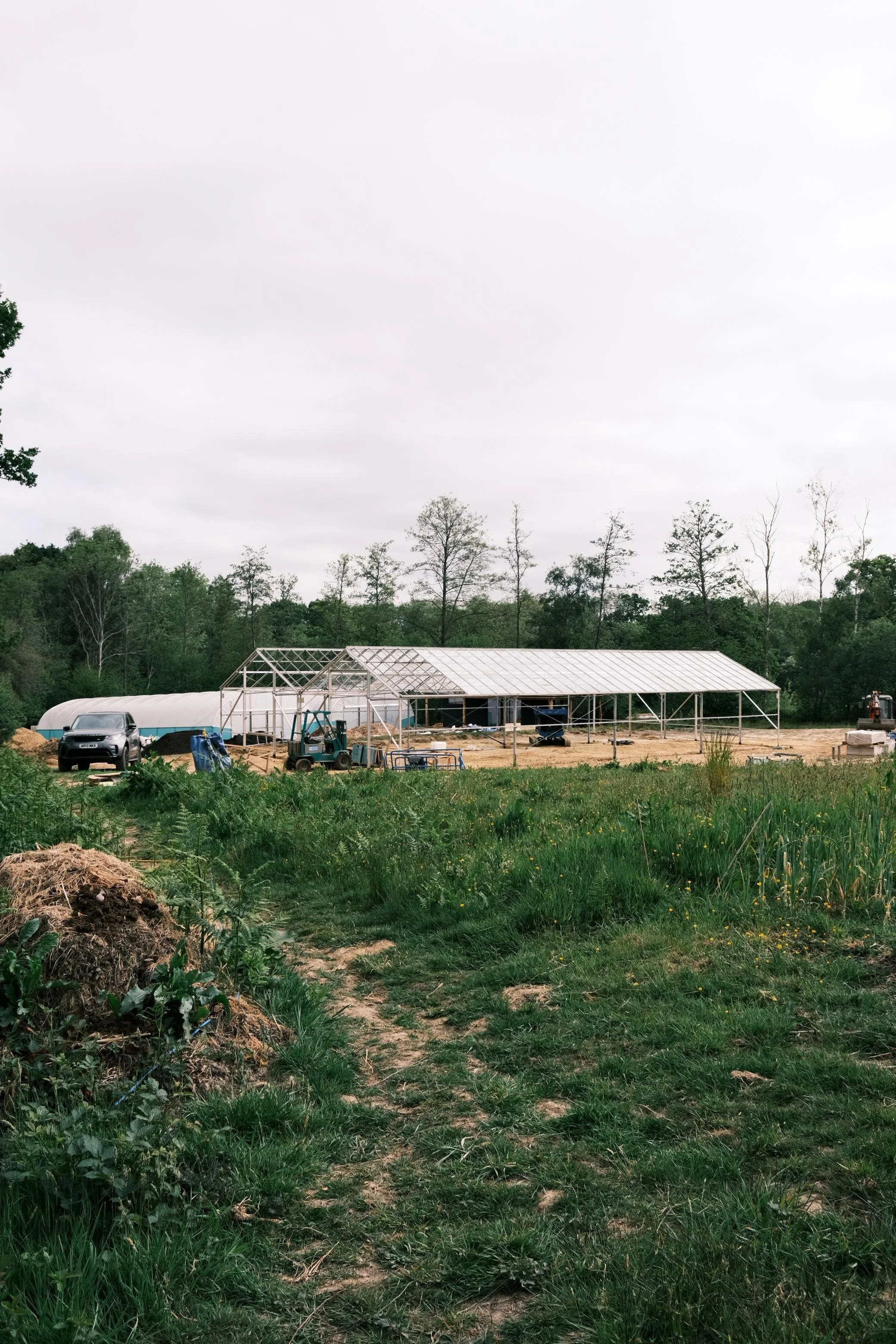 WhatsApp Image 2026-01-01 at 15.53.25 (9).jpeg