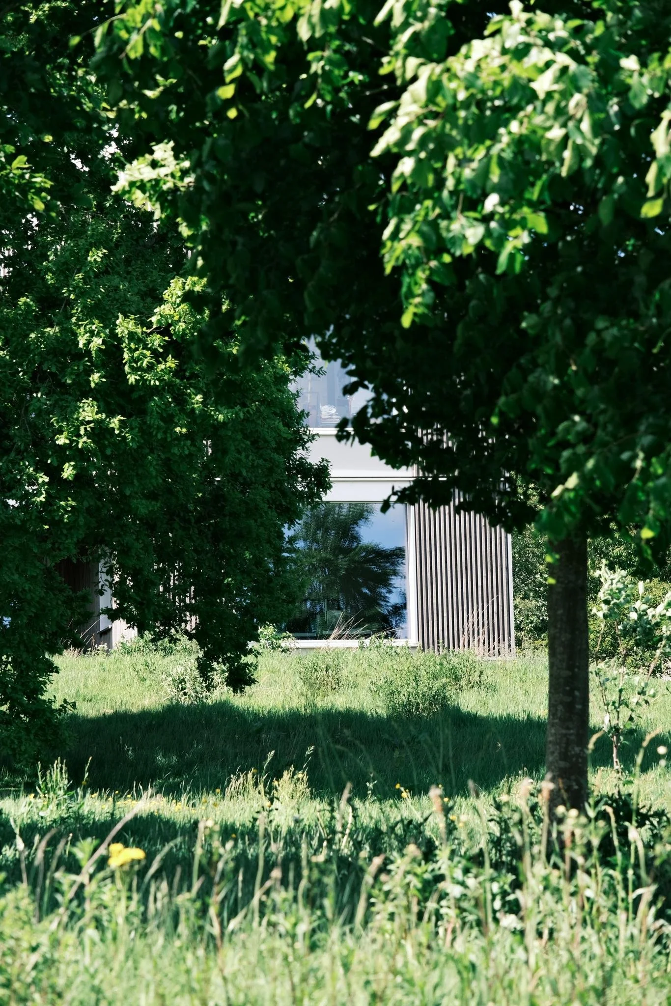 WhatsApp Image 2024-09-02 at 18.39.08_46f602b4.jpg