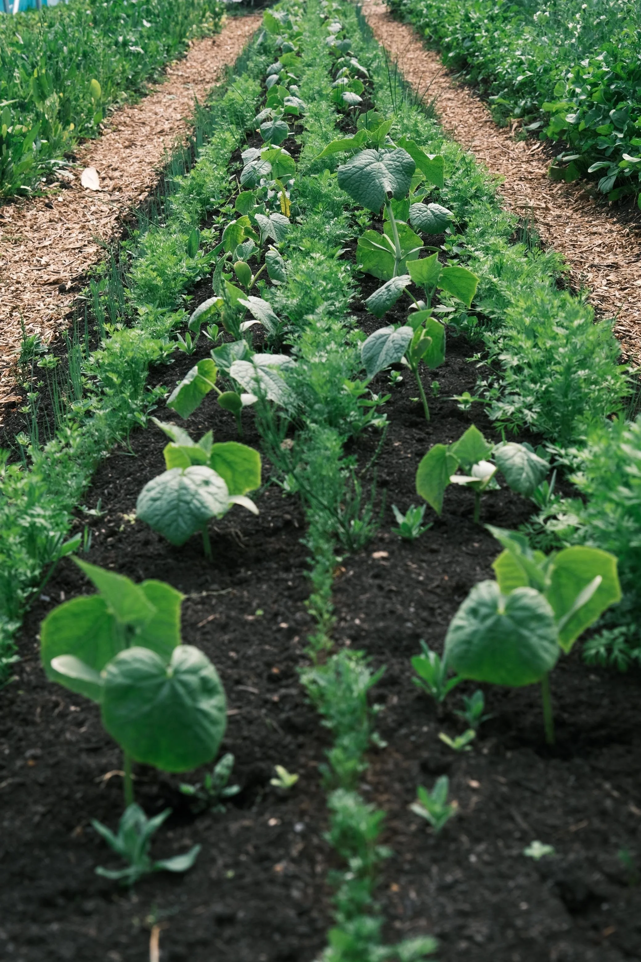 WhatsApp Image 2026-01-01 at 15.53.25 (4).jpeg