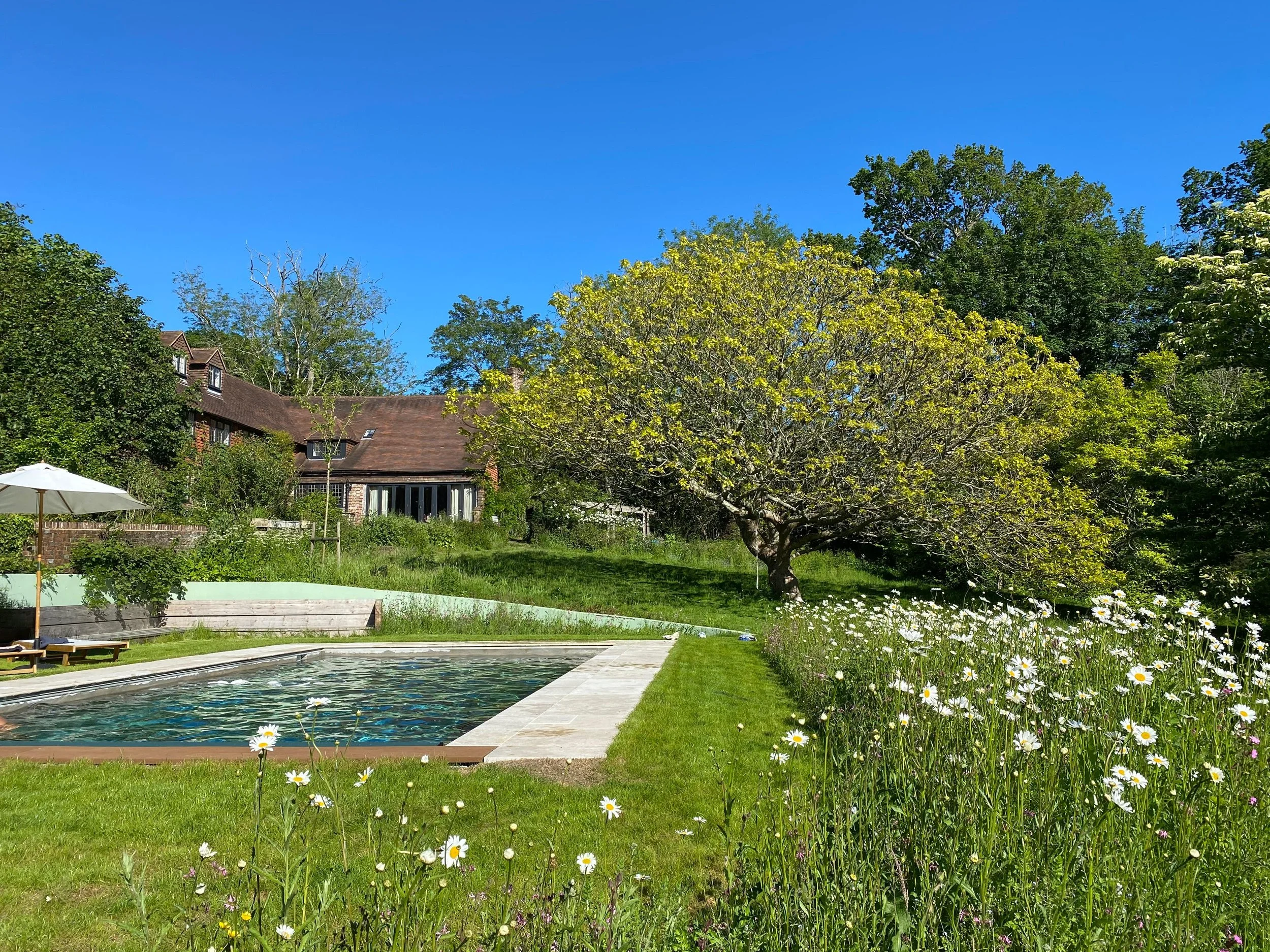 WhatsApp Image 2024-10-28 at 16.35.55_3c7b8362.jpg