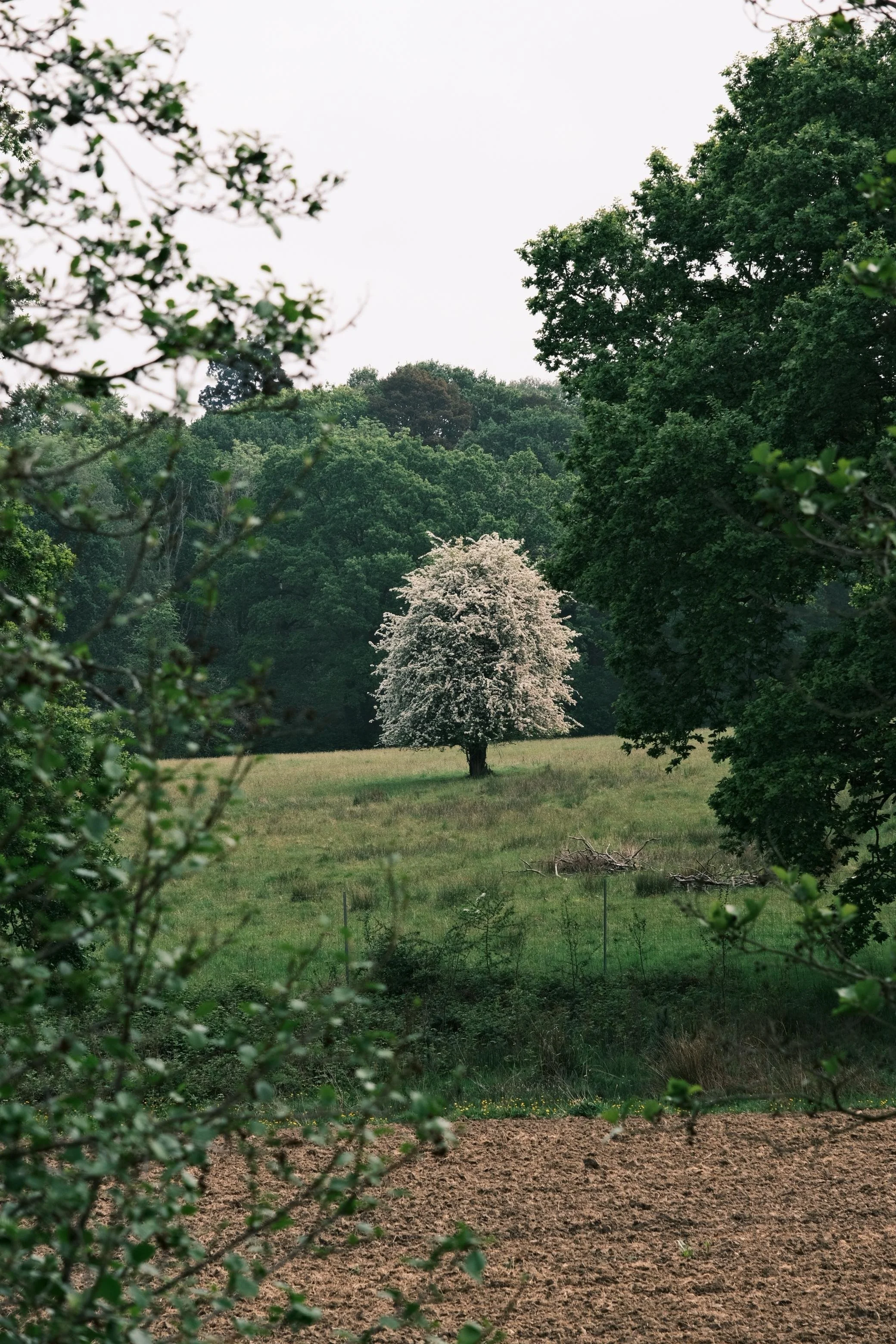 WhatsApp Image 2025-12-17 at 16.17.10 (15).jpeg