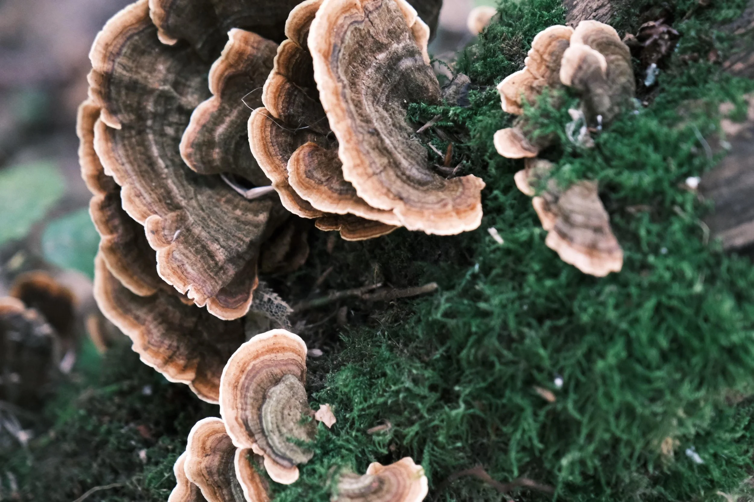 WhatsApp Image 2025-12-17 at 16.17.10 (4).jpeg