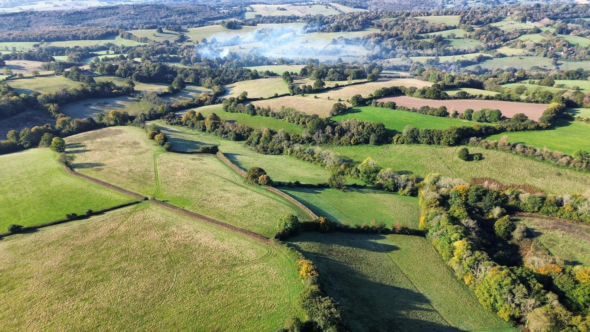 Drone image for website.jpg