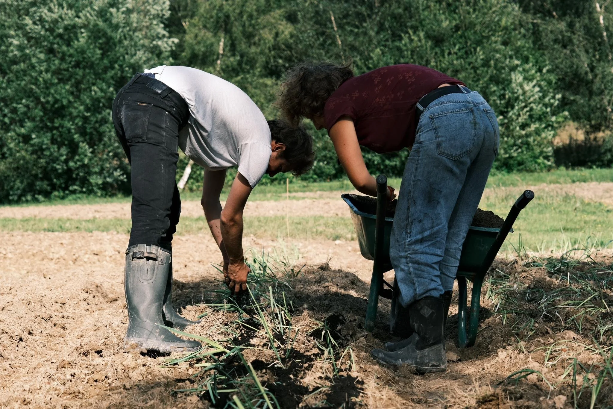 WhatsApp Image 2024-09-02 at 18.24.19_816e4ecc.jpg