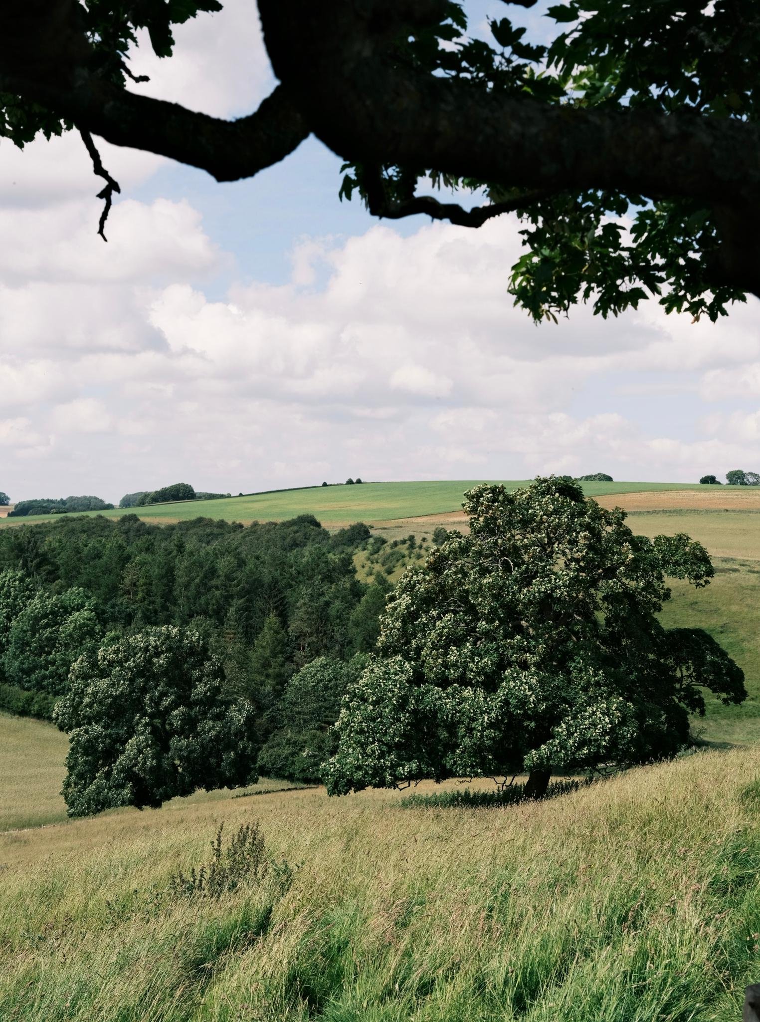 WhatsApp Image 2024-09-02 at 18.39.07_b2d4d576.jpg