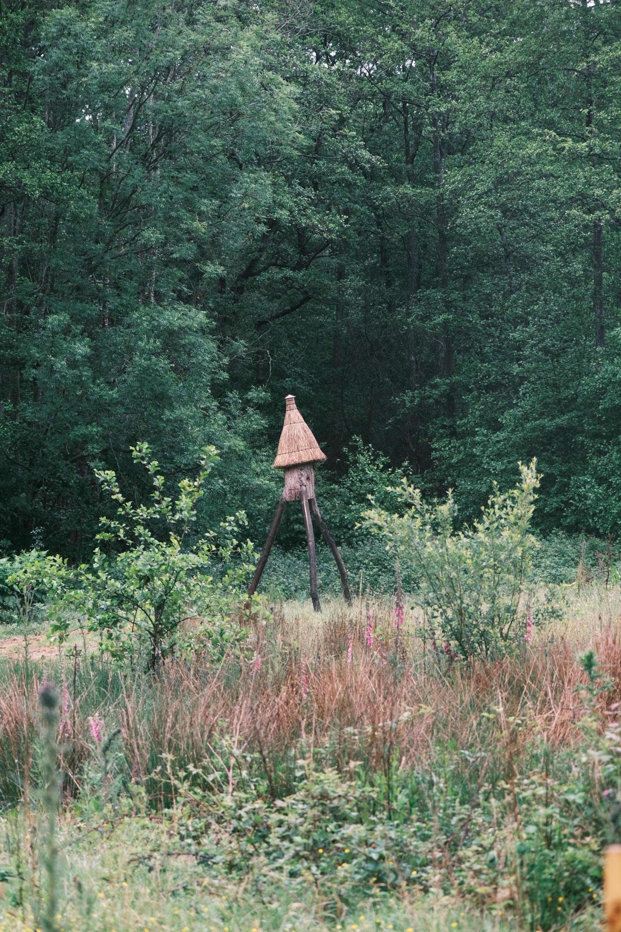 WhatsApp Image 2026-01-01 at 15.53.25 (11).jpeg