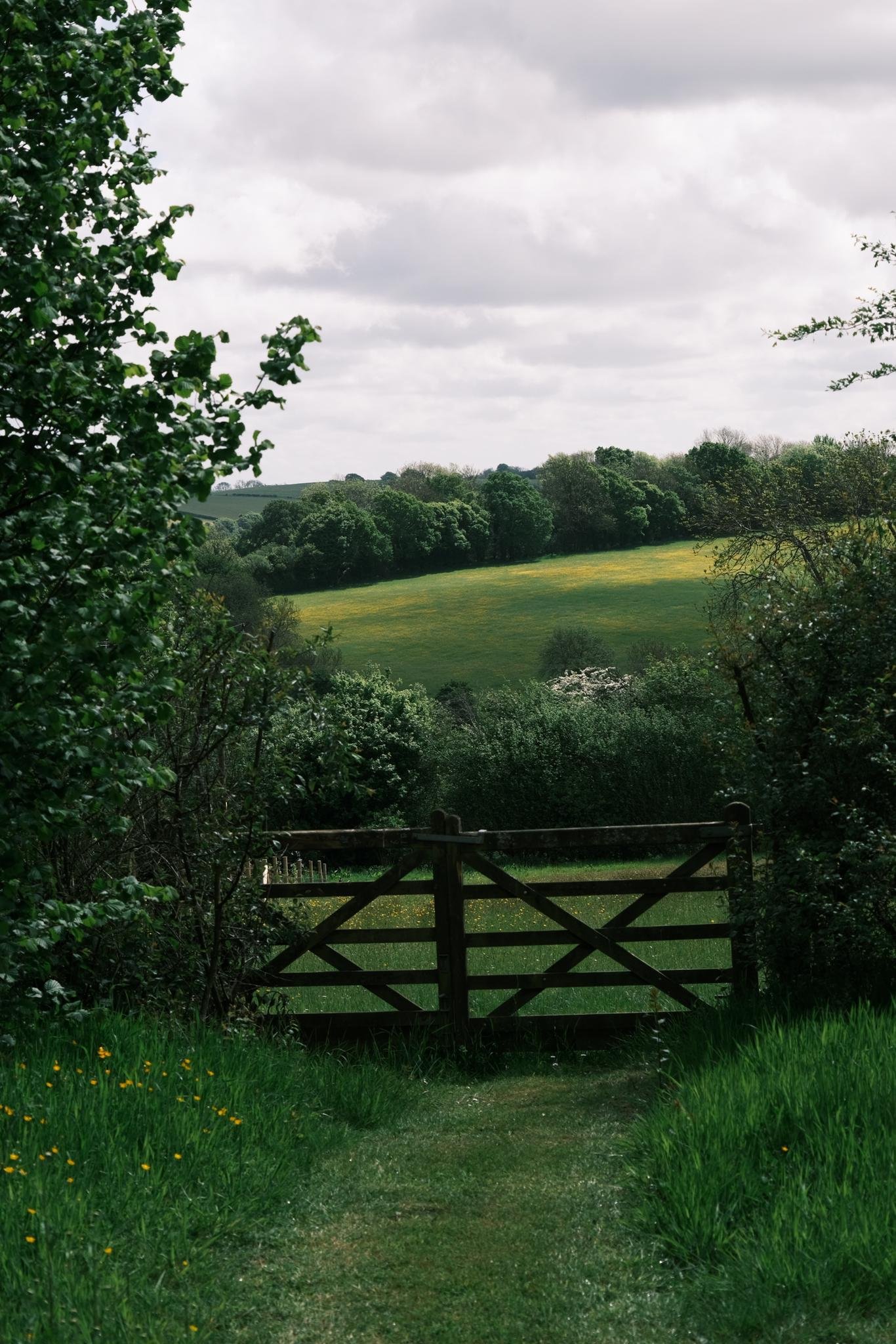 WhatsApp Image 2024-09-02 at 18.39.08_d6de2aa4.jpg