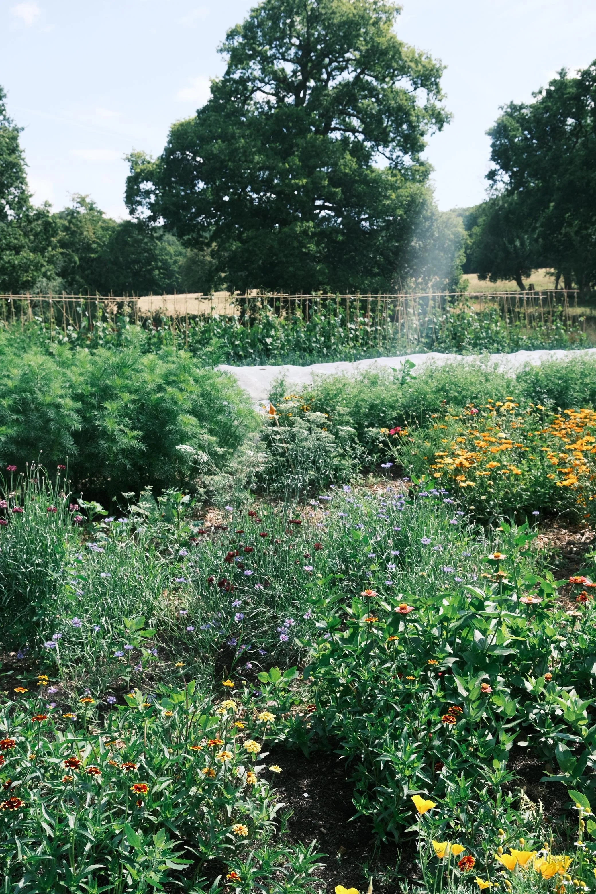 WhatsApp Image 2026-01-01 at 15.53.25 (22).jpeg