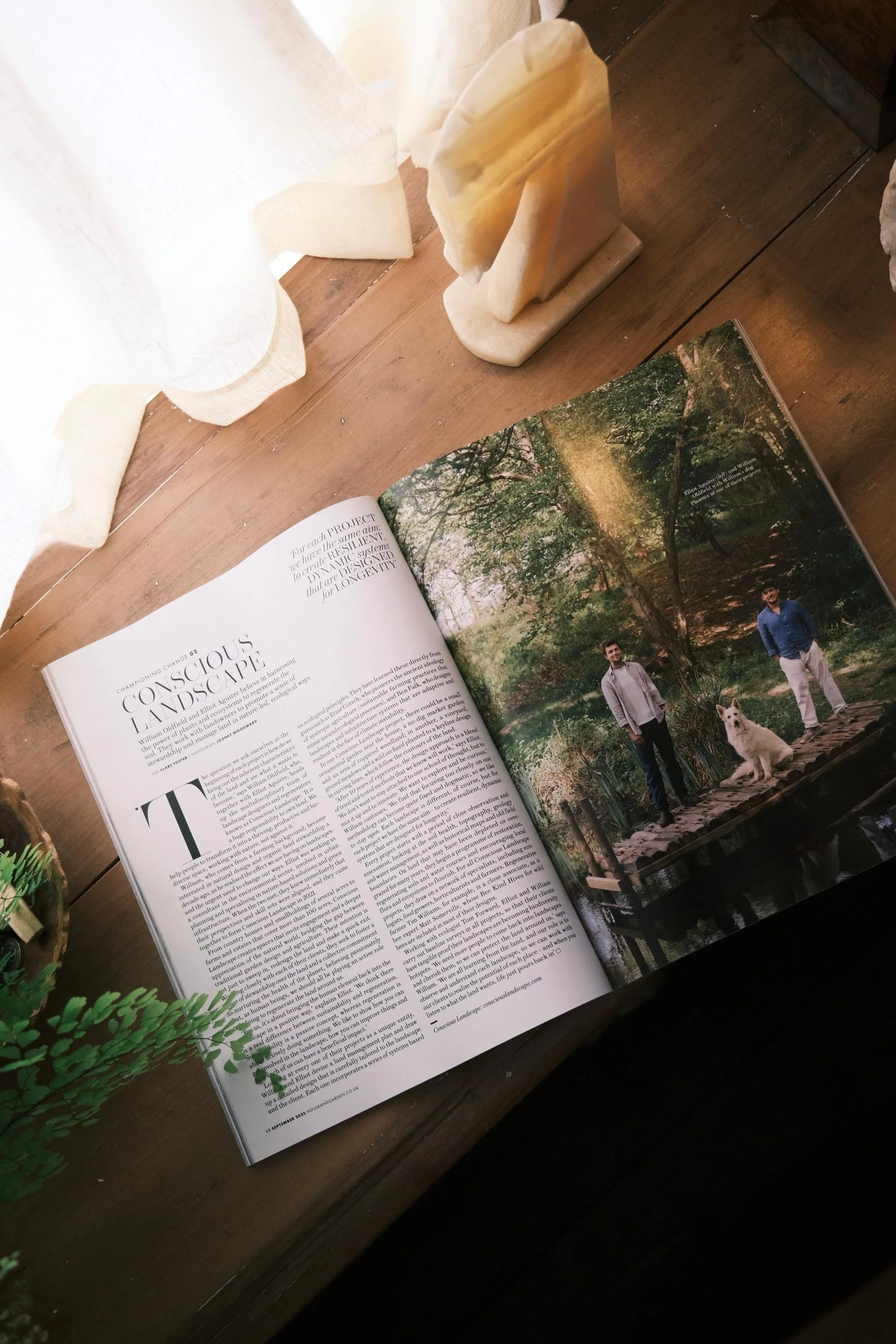 WhatsApp Image 2025-12-17 at 16.17.10 (18).jpeg