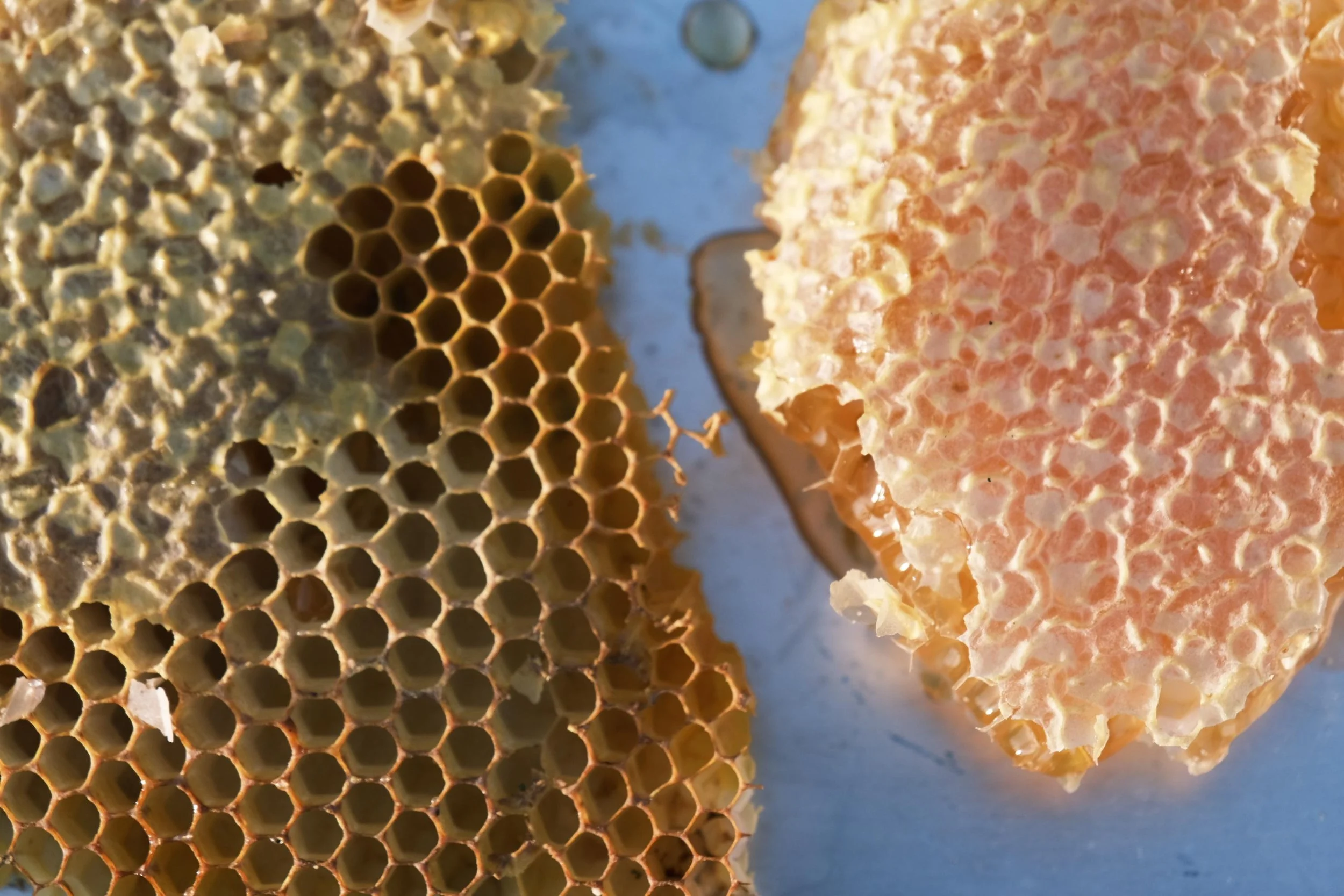 WhatsApp Image 2025-12-17 at 16.17.10 (9).jpeg