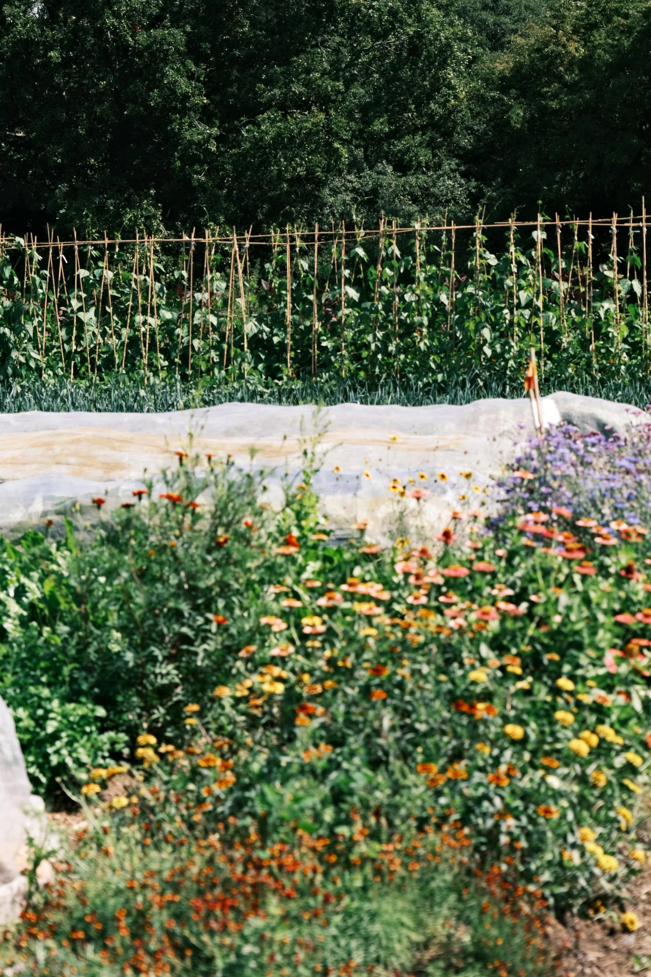 WhatsApp Image 2026-01-01 at 15.53.25 (20).jpeg