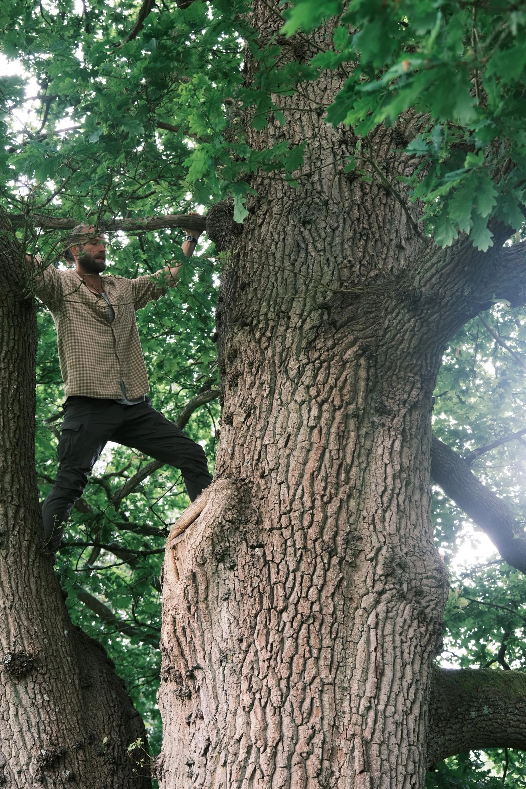 WhatsApp Image 2026-01-01 at 15.53.25 (10).jpeg