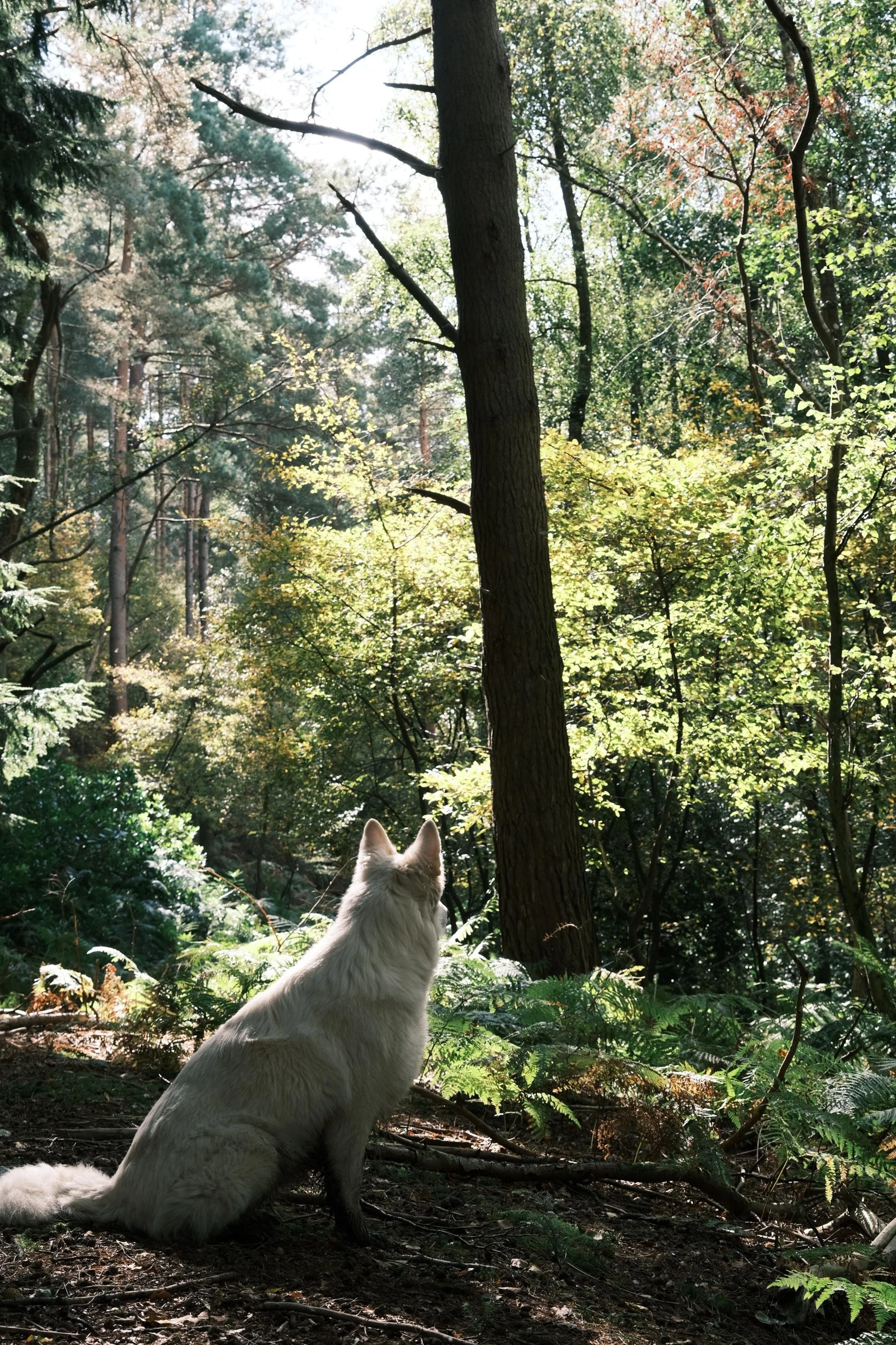 WhatsApp Image 2025-12-17 at 16.12.54.jpeg