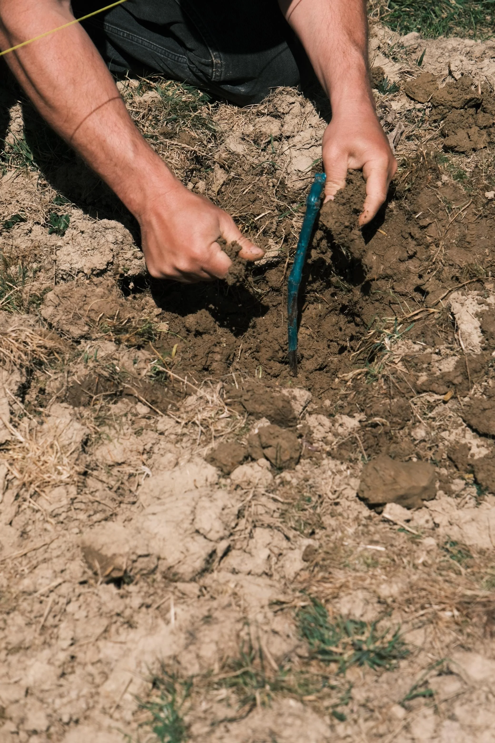 WhatsApp Image 2025-12-17 at 16.11.40 (5).jpeg