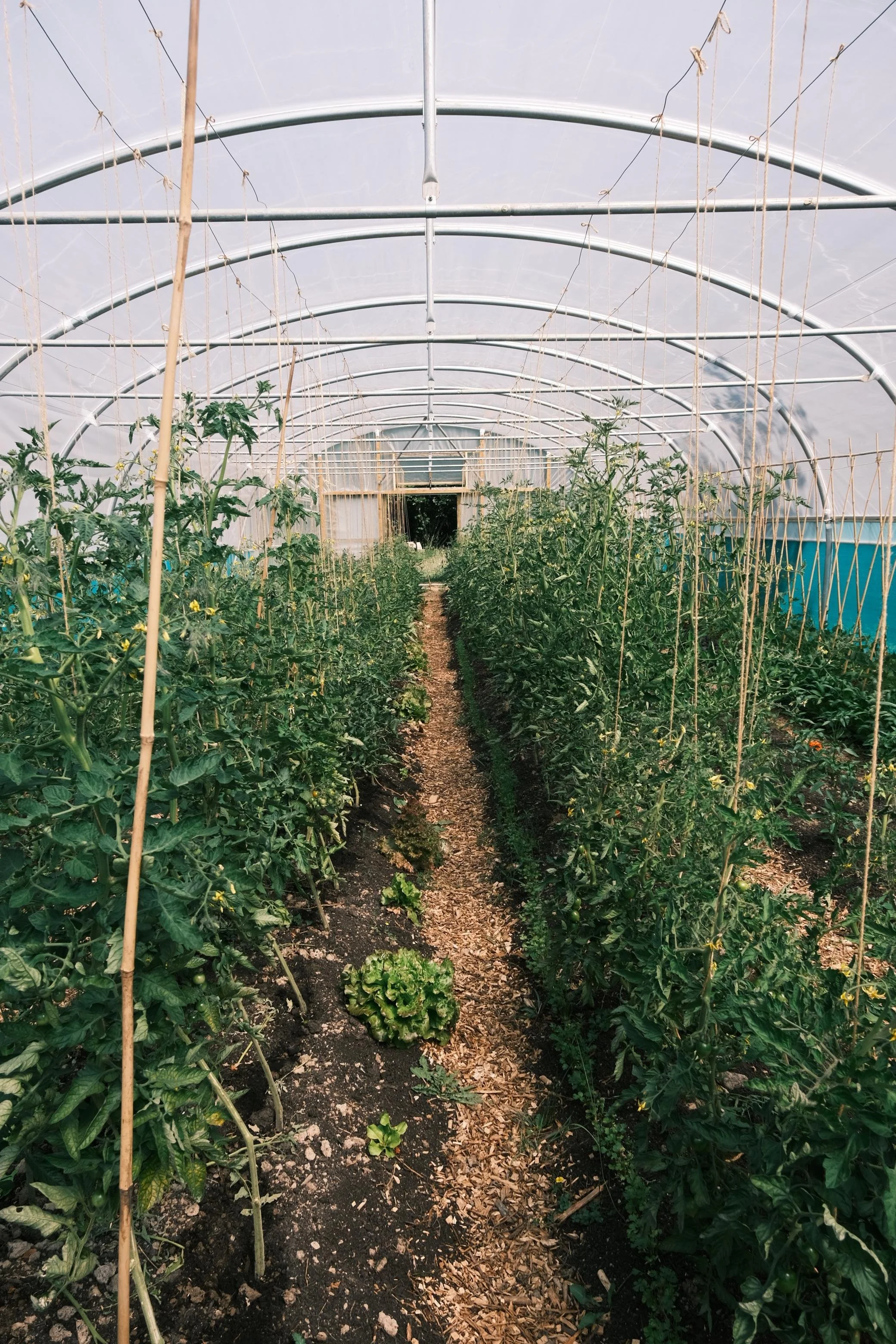 WhatsApp Image 2026-01-01 at 15.53.25 (15).jpeg