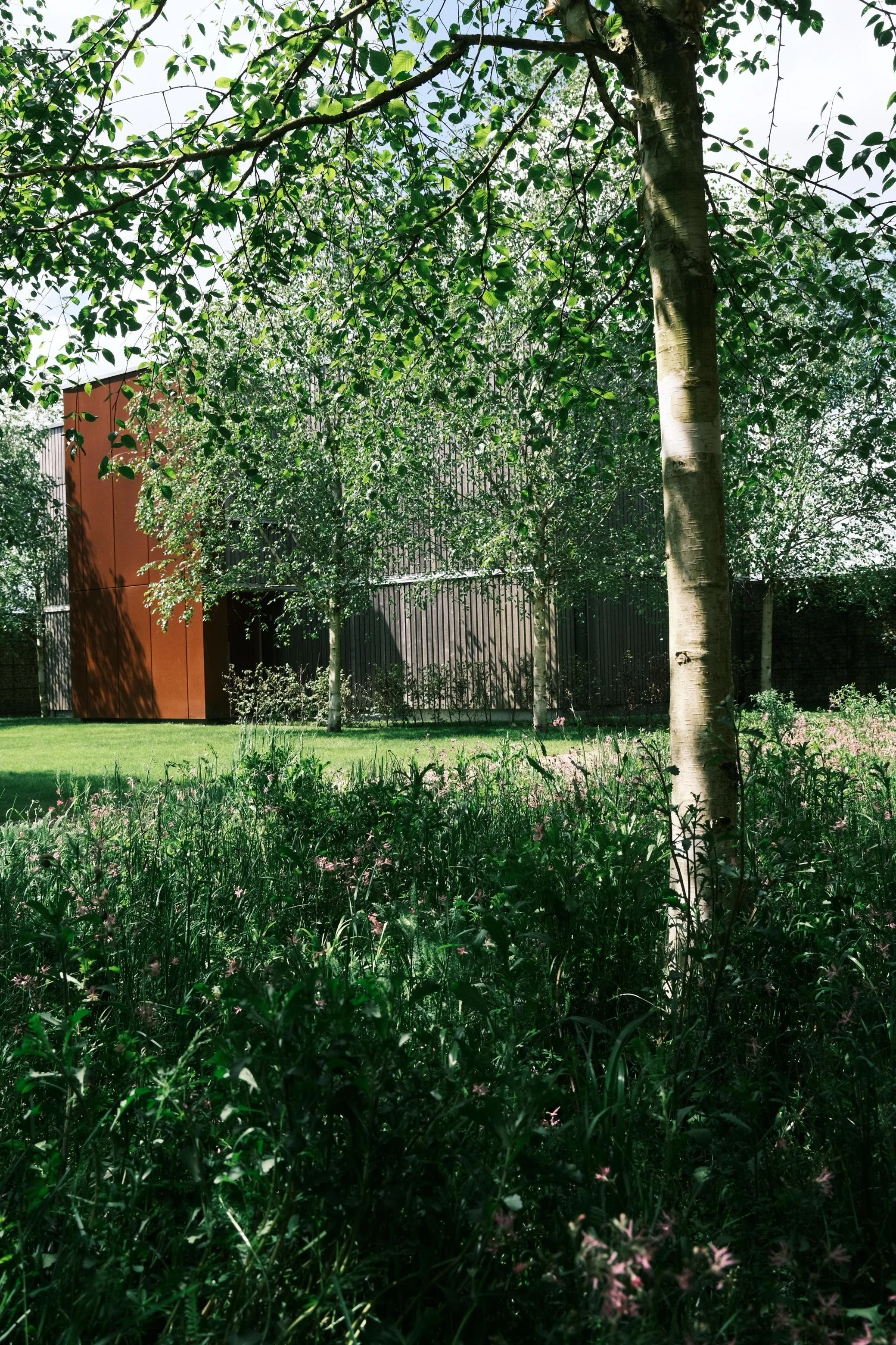 WhatsApp Image 2025-12-17 at 16.14.53 (10).jpeg