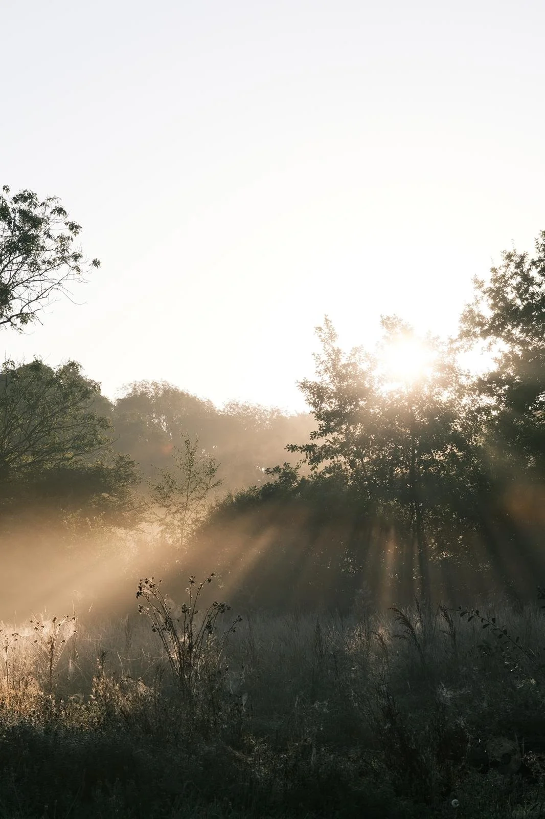 WhatsApp Image 2024-12-31 at 15.18.42_6b0a0d05.jpg