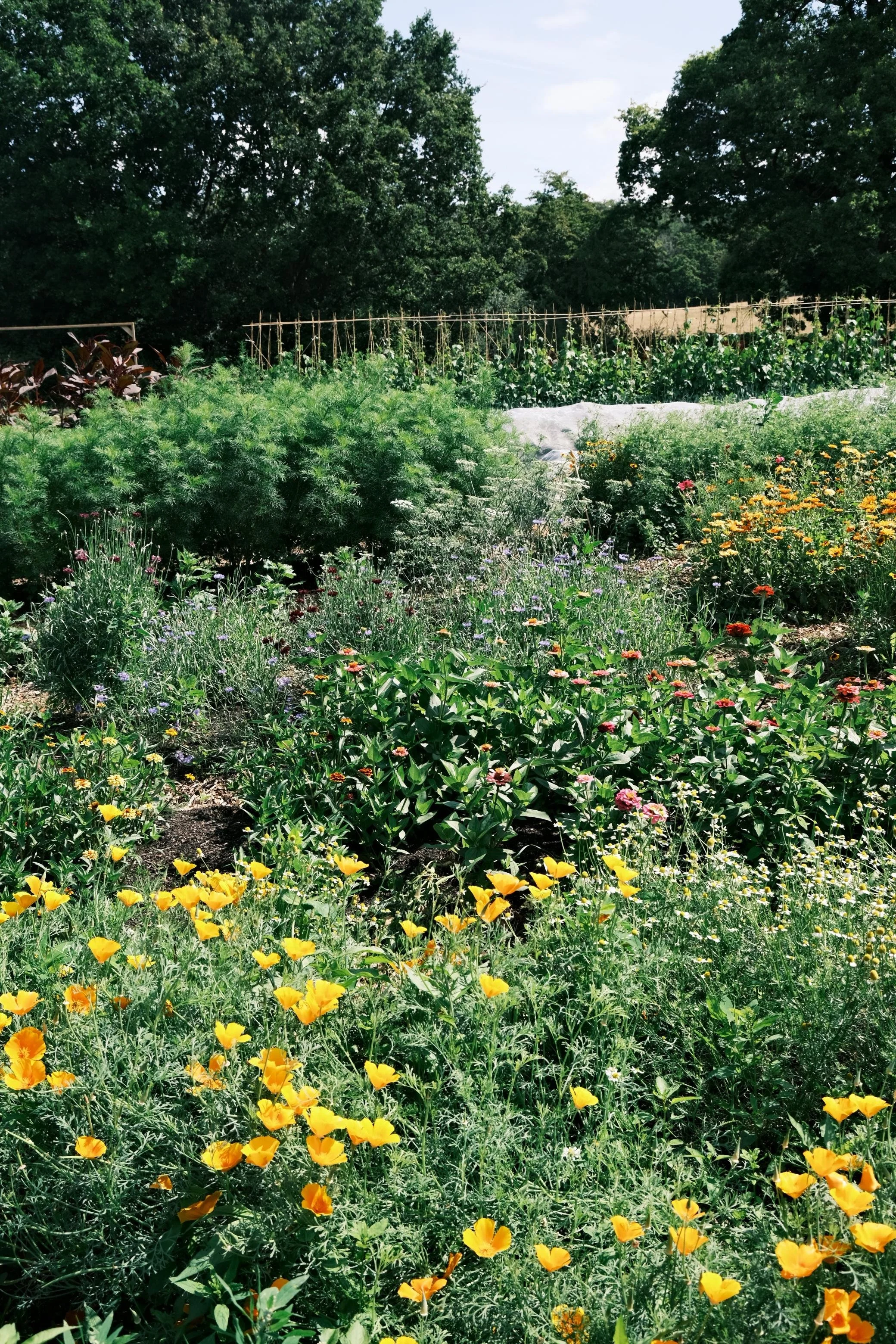 WhatsApp Image 2025-12-17 at 16.17.10 (17).jpeg