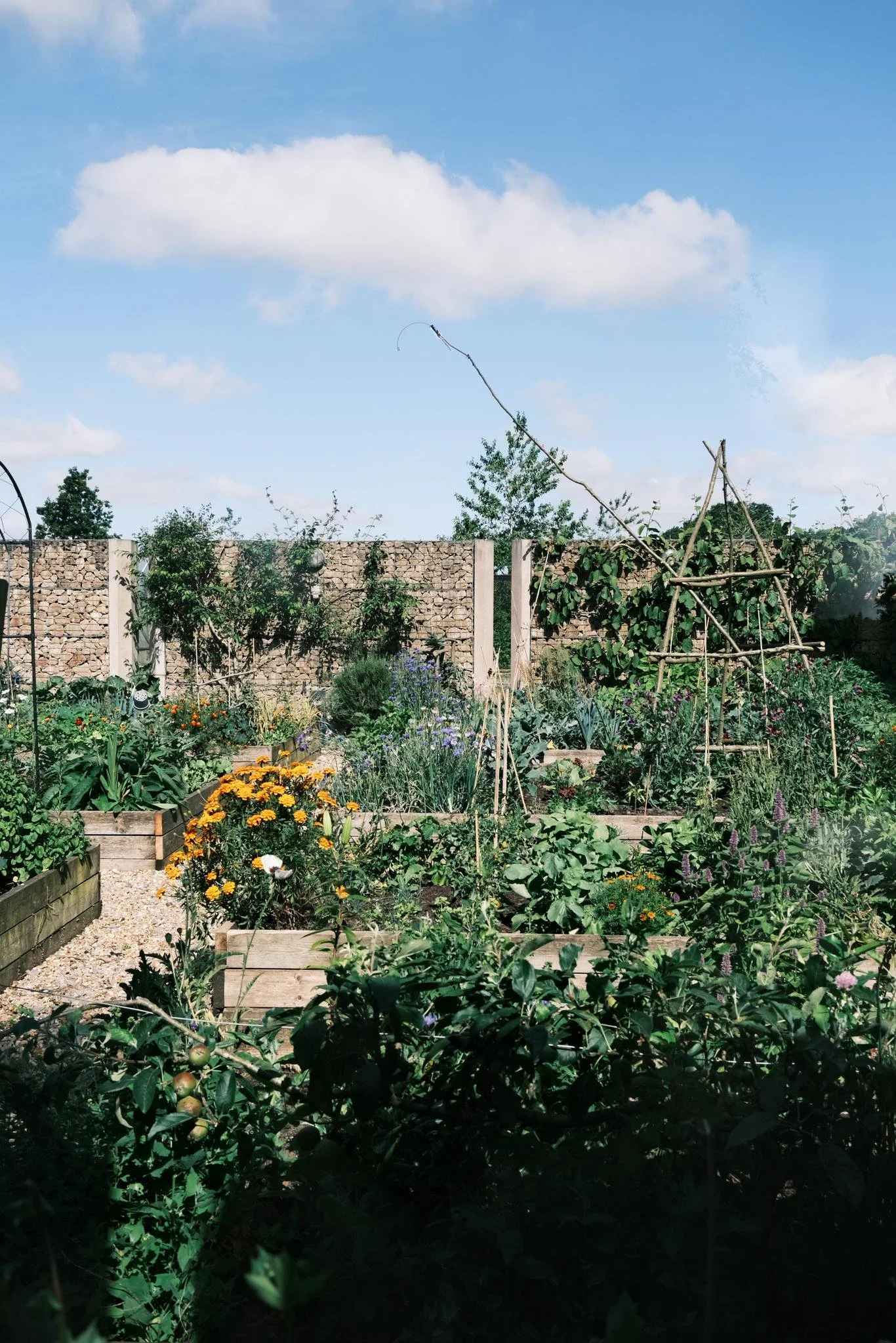 WhatsApp Image 2024-07-15 at 17.49.35_de5db306.jpg