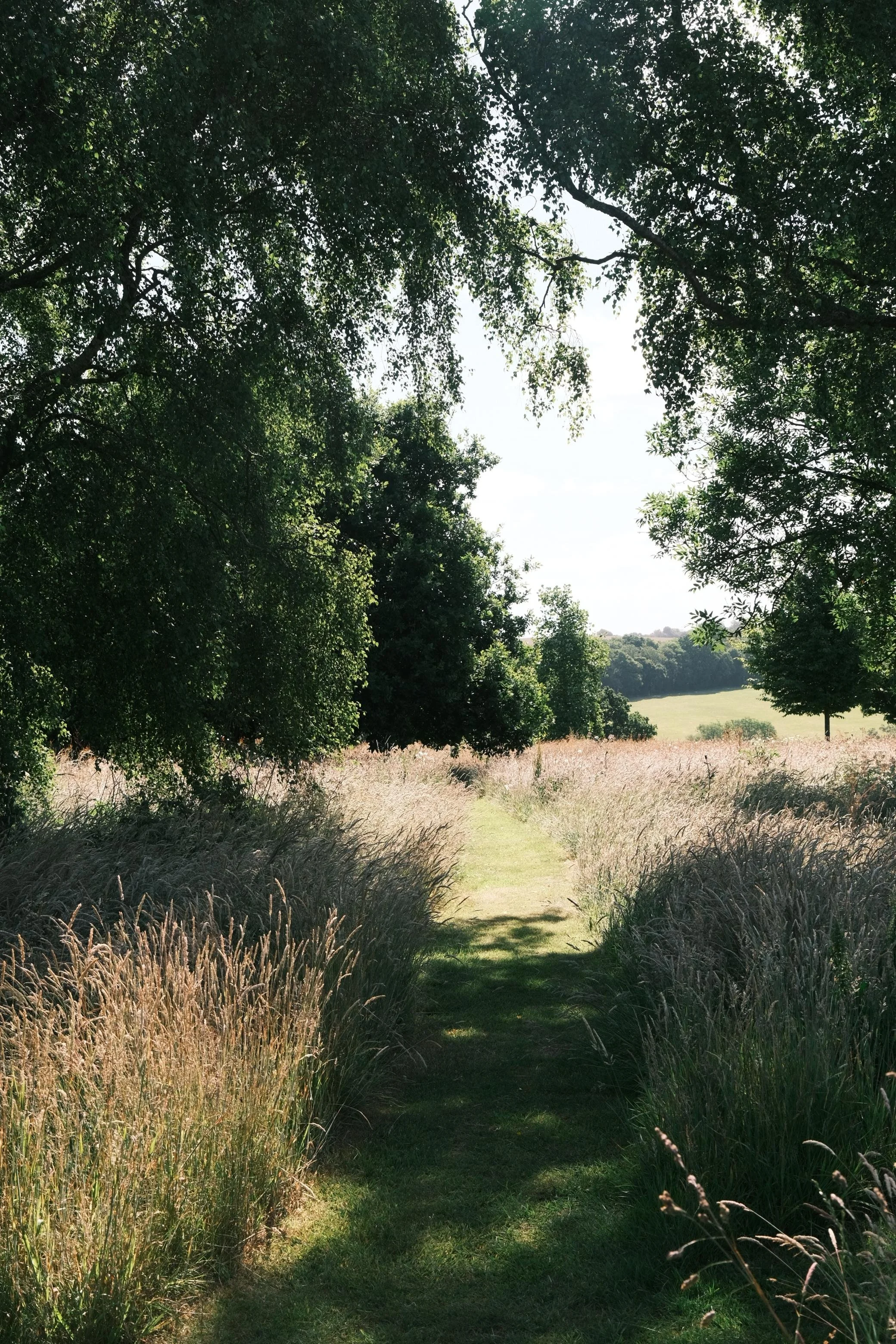 WhatsApp Image 2025-12-17 at 16.14.53 (3).jpeg