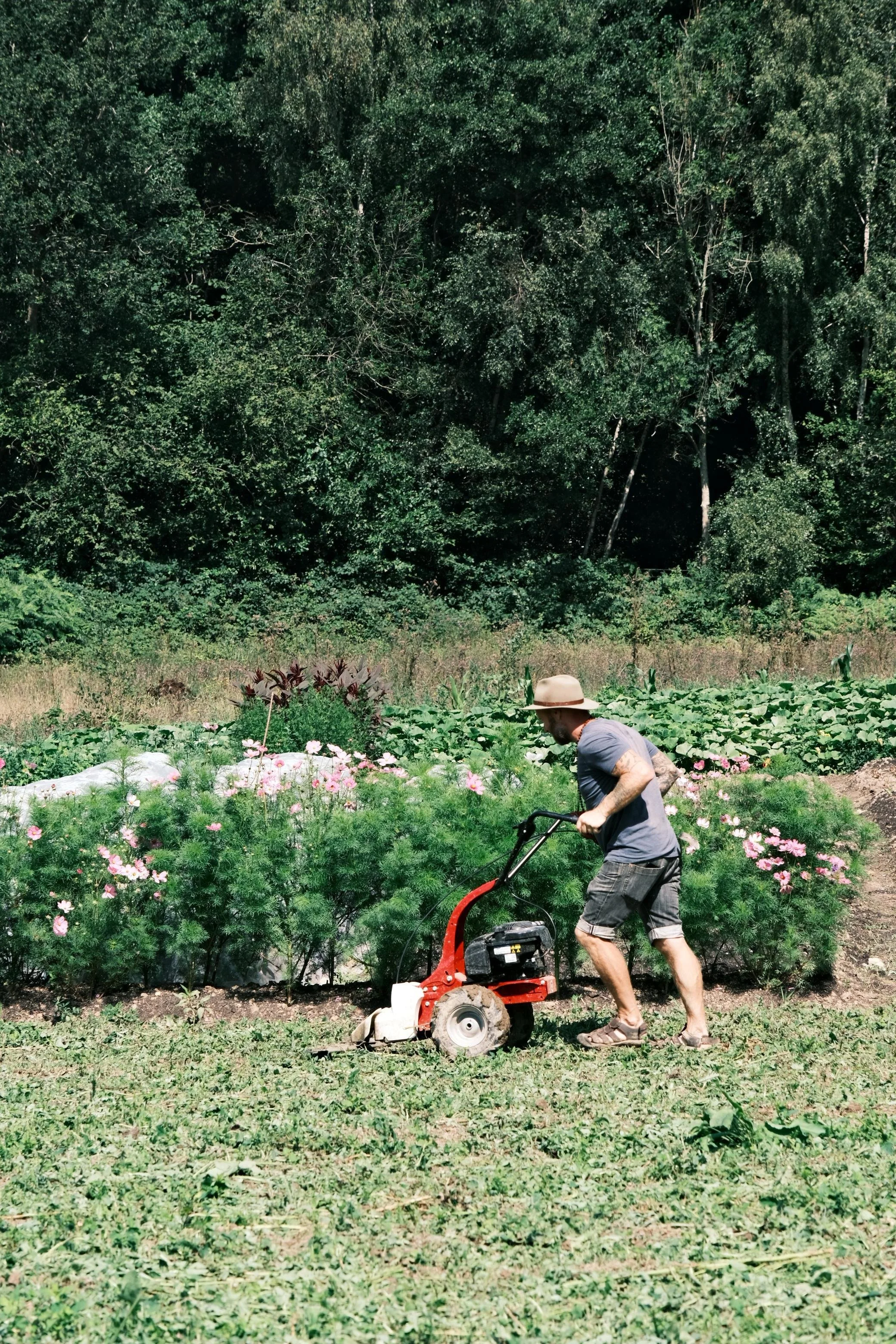 WhatsApp Image 2026-01-01 at 15.53.25 (21).jpeg