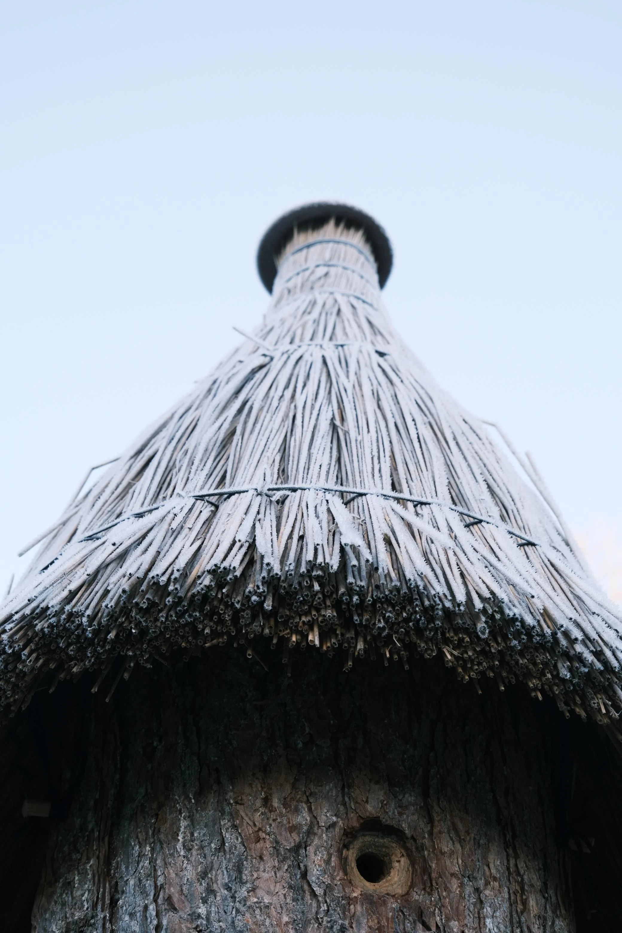 WhatsApp Image 2025-12-17 at 16.17.10 (1).jpeg