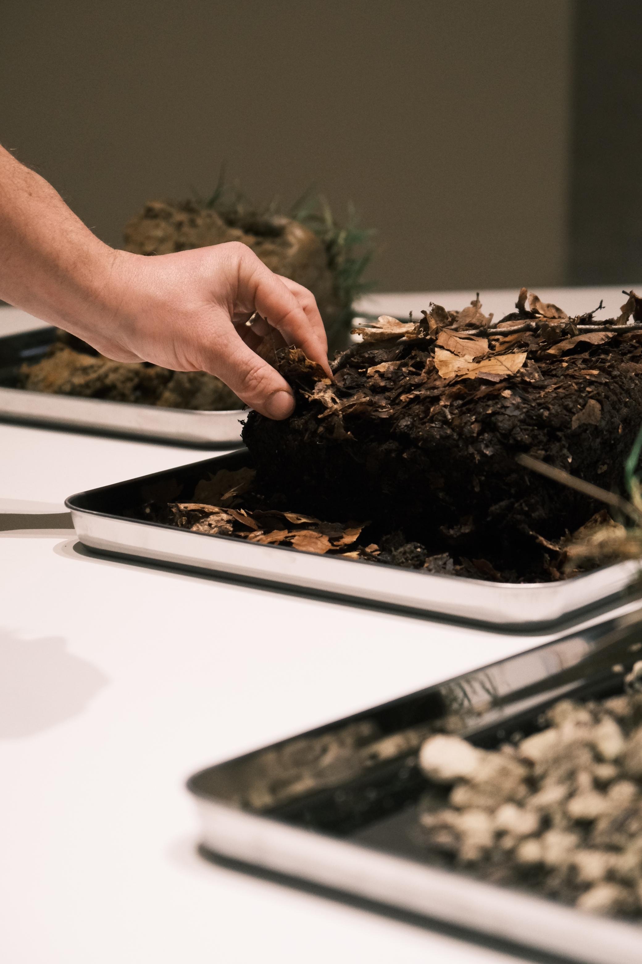 WhatsApp Image 2025-12-17 at 16.17.10 (8).jpeg