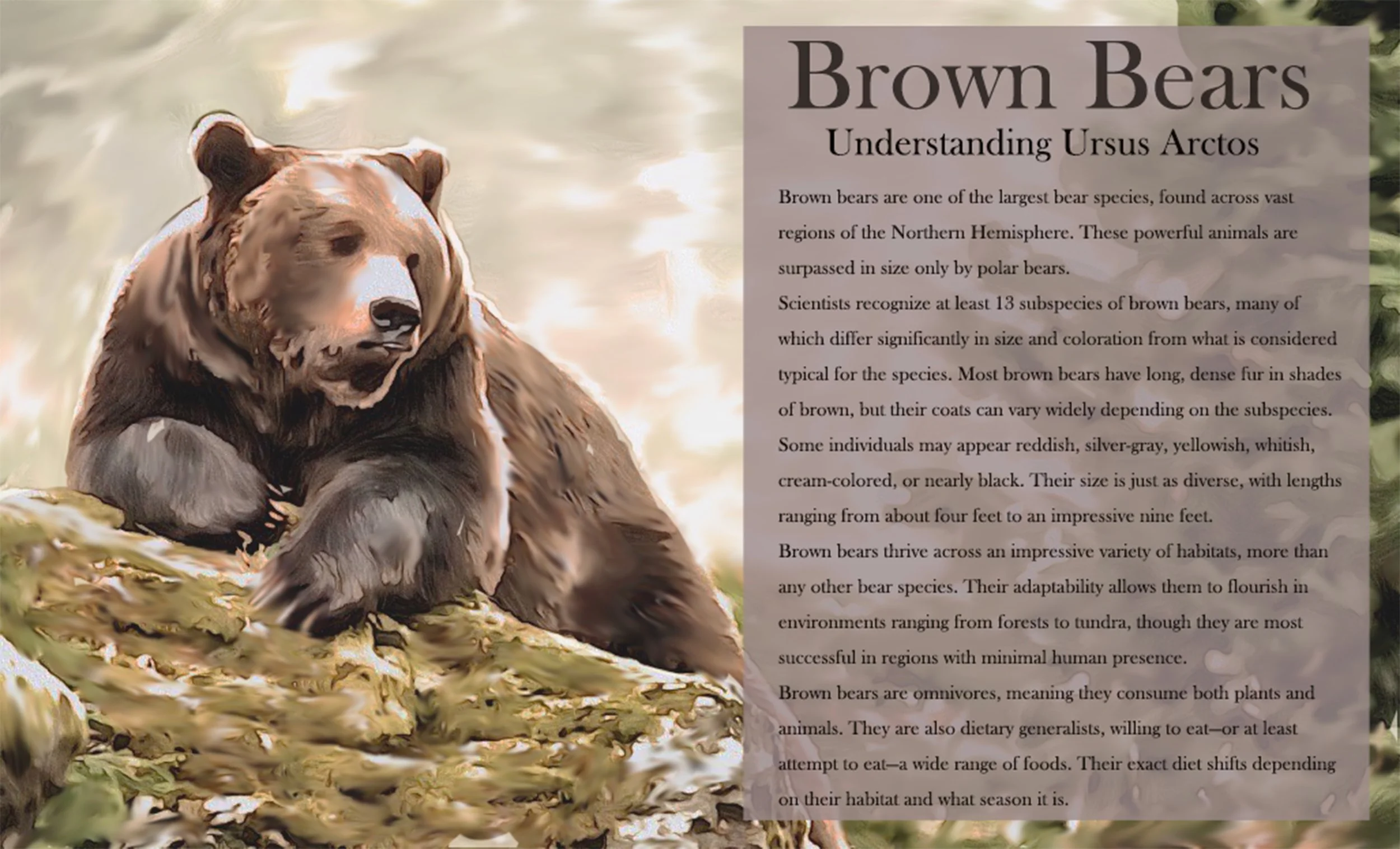 Isabel_Palmer_SpeciesEcologyIllustration_Final_NATSCI25 (1).jpg