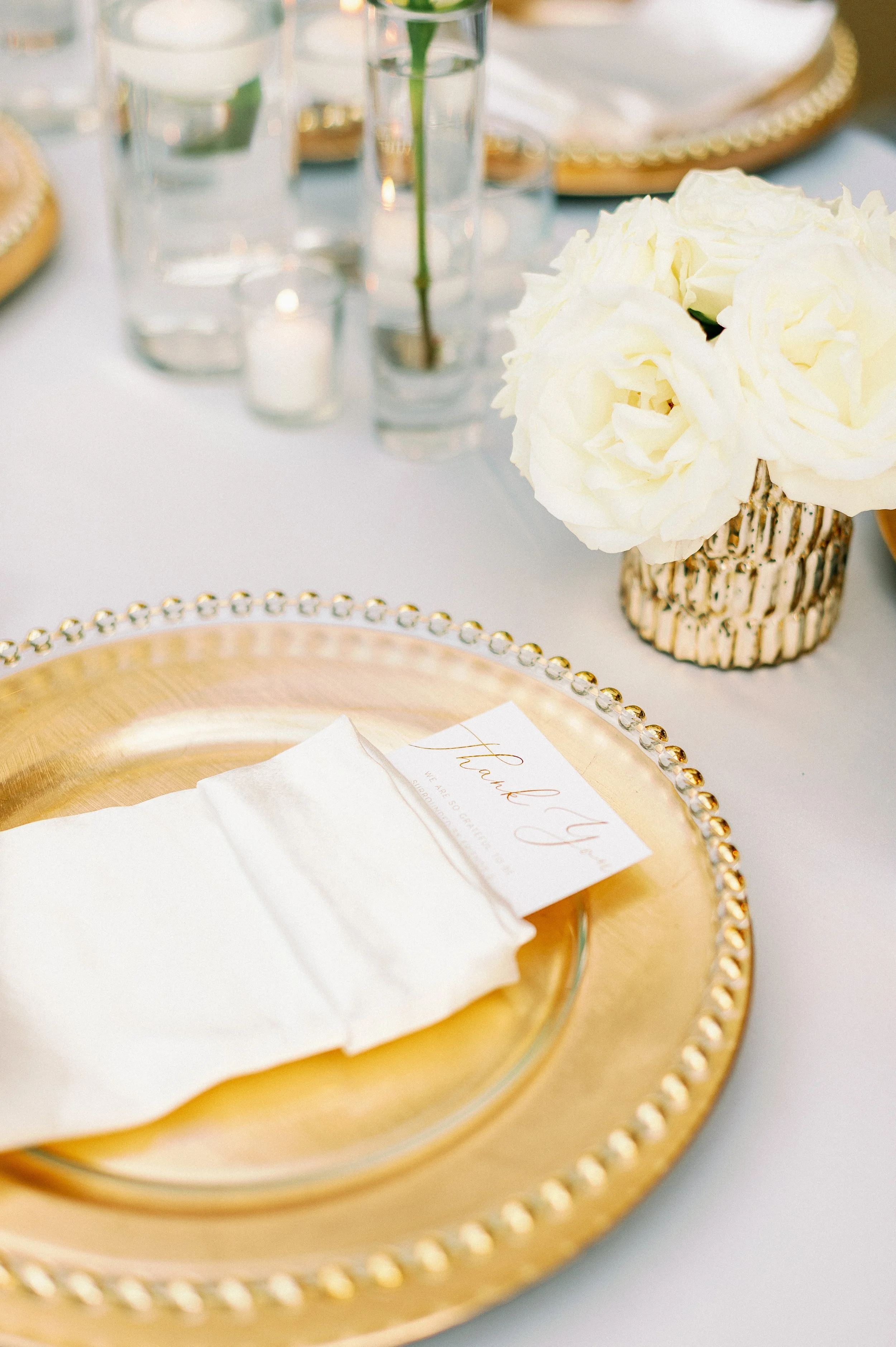 Copyright-Dewitt-for-Love-Photography-Tas-events-and-design-Ringling-Museum-Sarasota-Wedding-Photographer-314.jpg