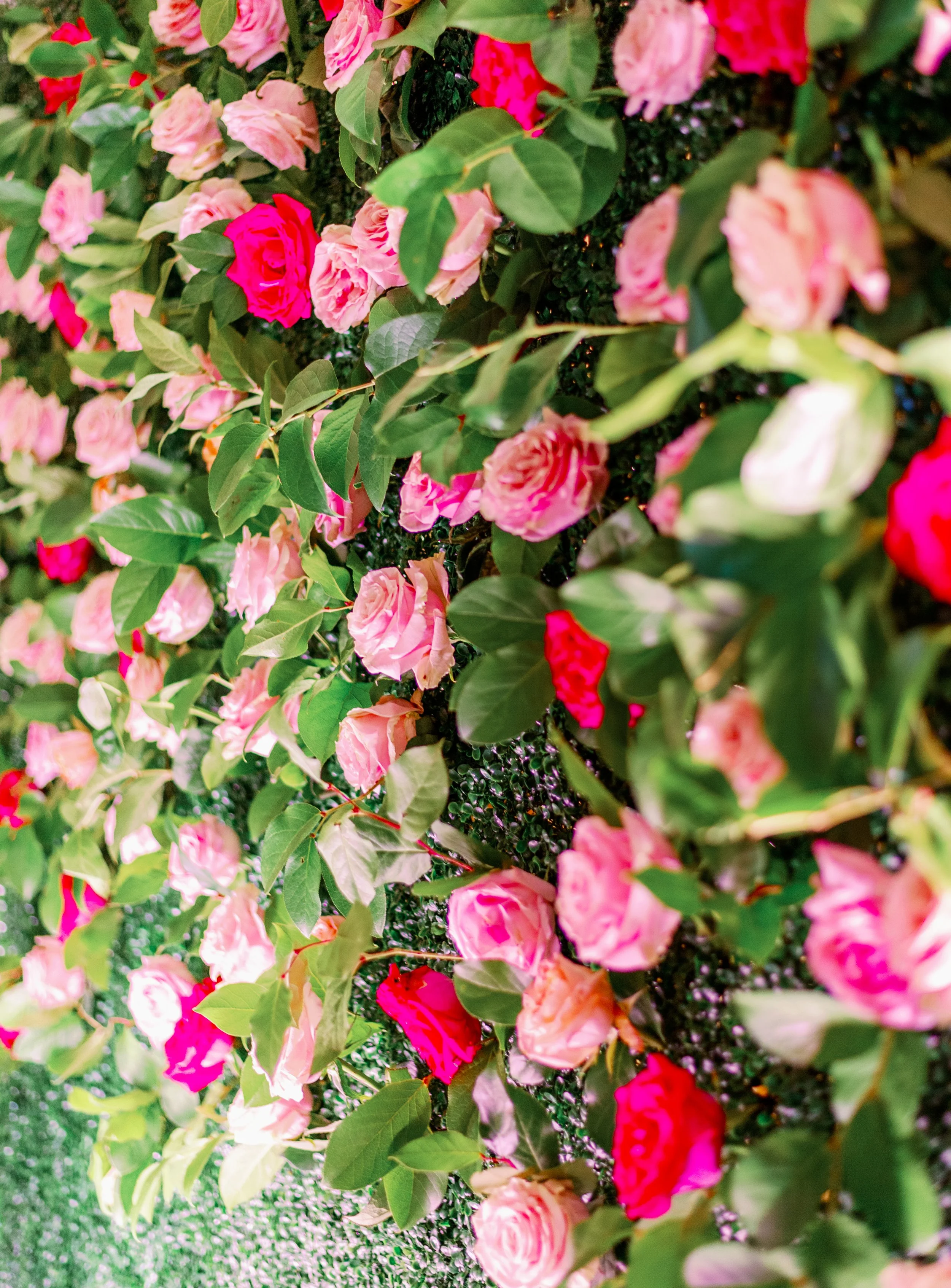 Tas-events-and-design-wydham-grand-clearwater-beach-dewitt-for-love-photography-for-Love-TAS-Wyndham-Final-Edits-Wedding-Photographer-59.jpg