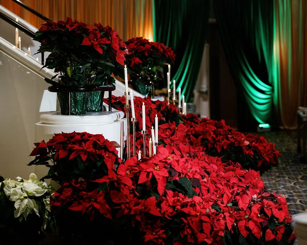 Copyright-Dewitt-for-Love-Photography-Tas-Events-GTE-Holiday-Party-50.jpg