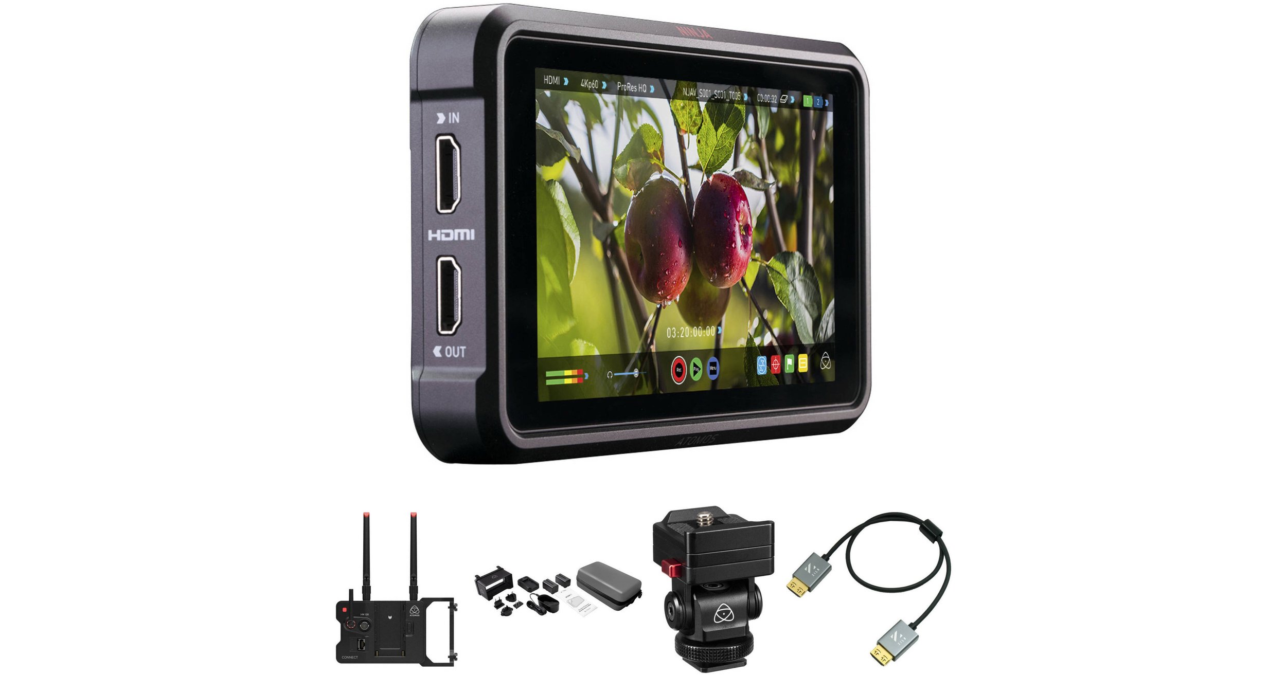 A professional digital camera monitor displaying a close-up of two plums on a tree with editing icons and settings on the screen.
