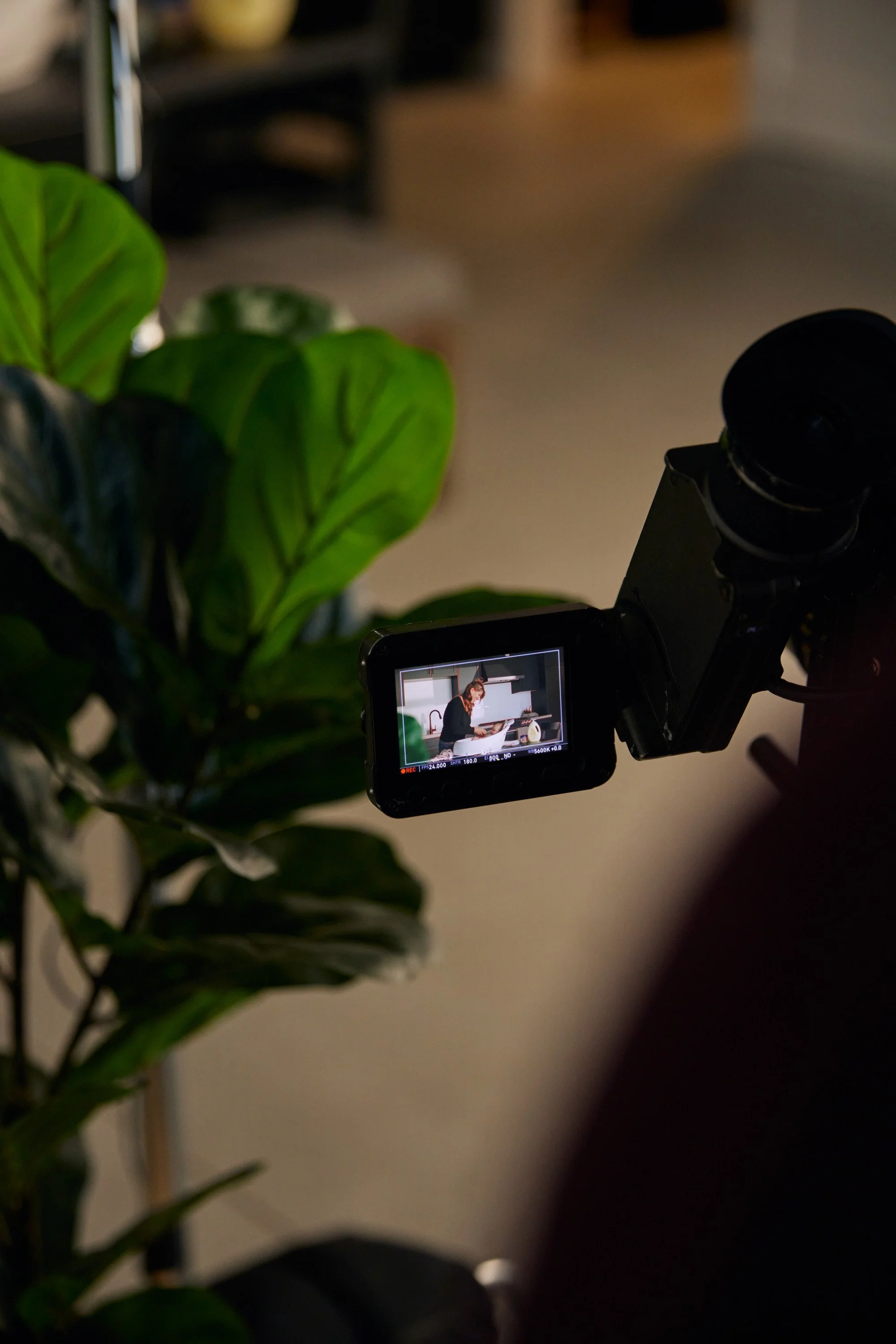 A camera filming a woman sitting at a kitchen counter with plants and kitchen appliances visible in the background.