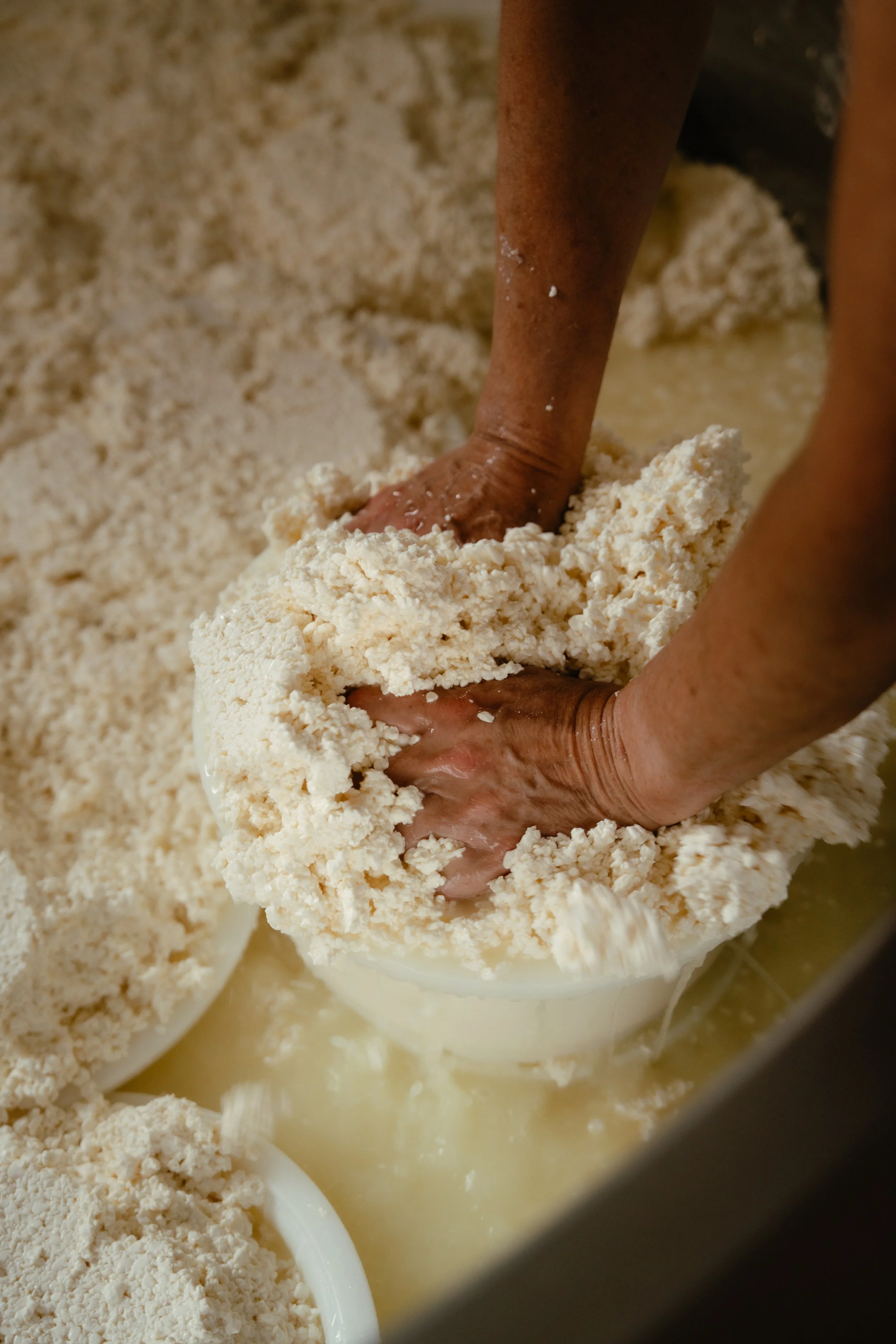 20250811 - Duun Terschelling - © Chantal Arnts-157.jpg