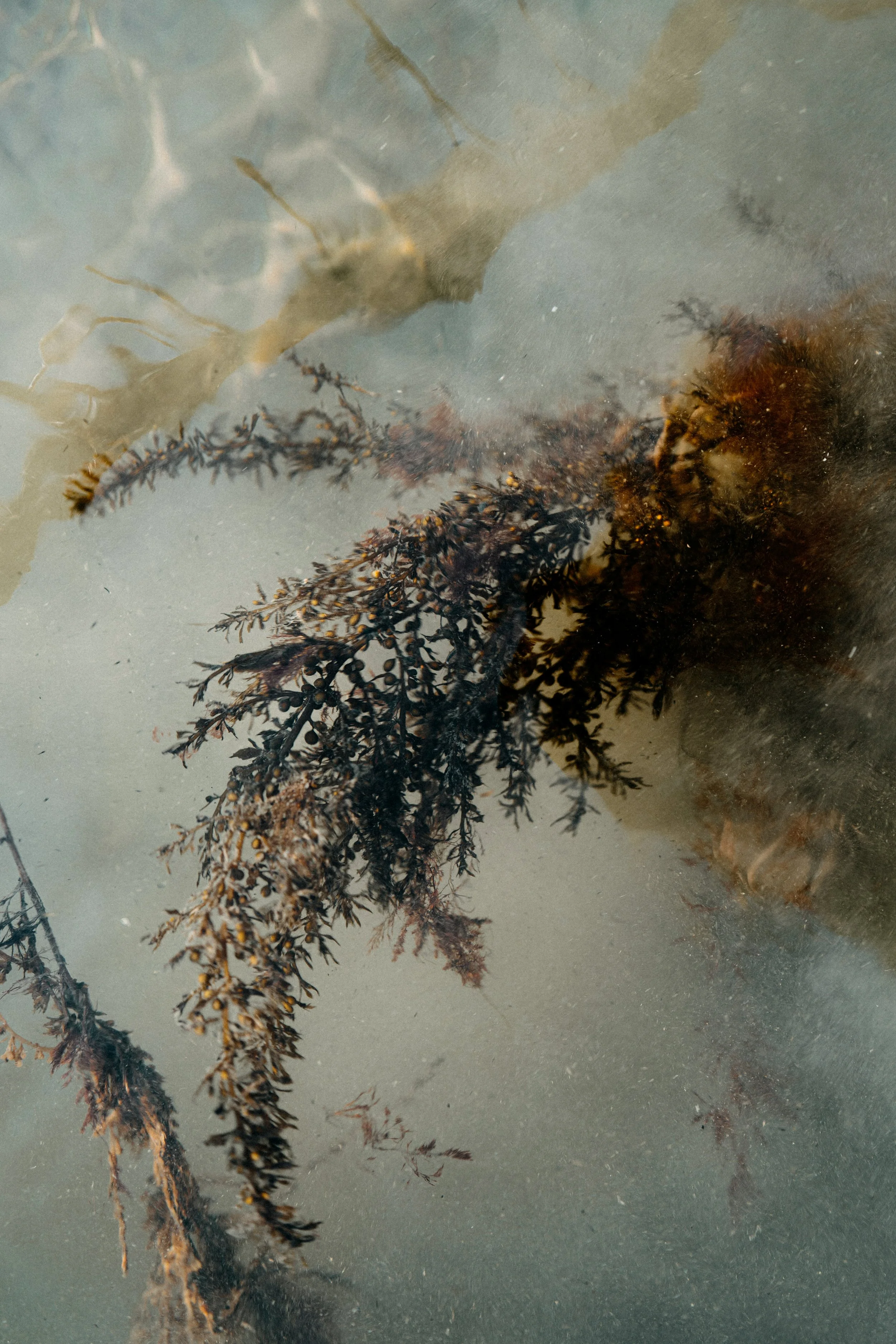 20260113 - Vogue Living Terschelling HR - © Chantal Arnts-8.jpg