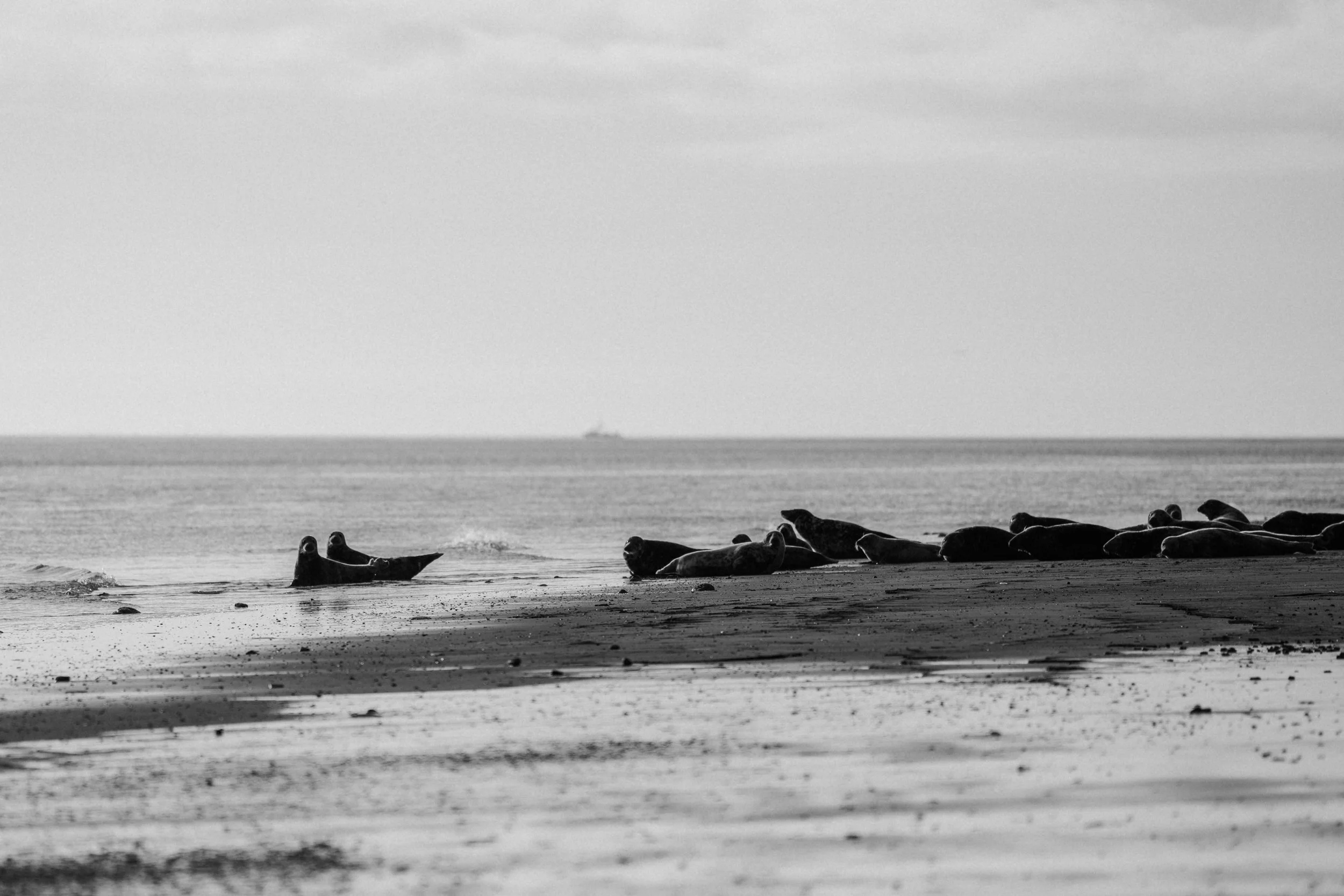 20260113 - Vogue Living Terschelling HR - © Chantal Arnts-6.jpg