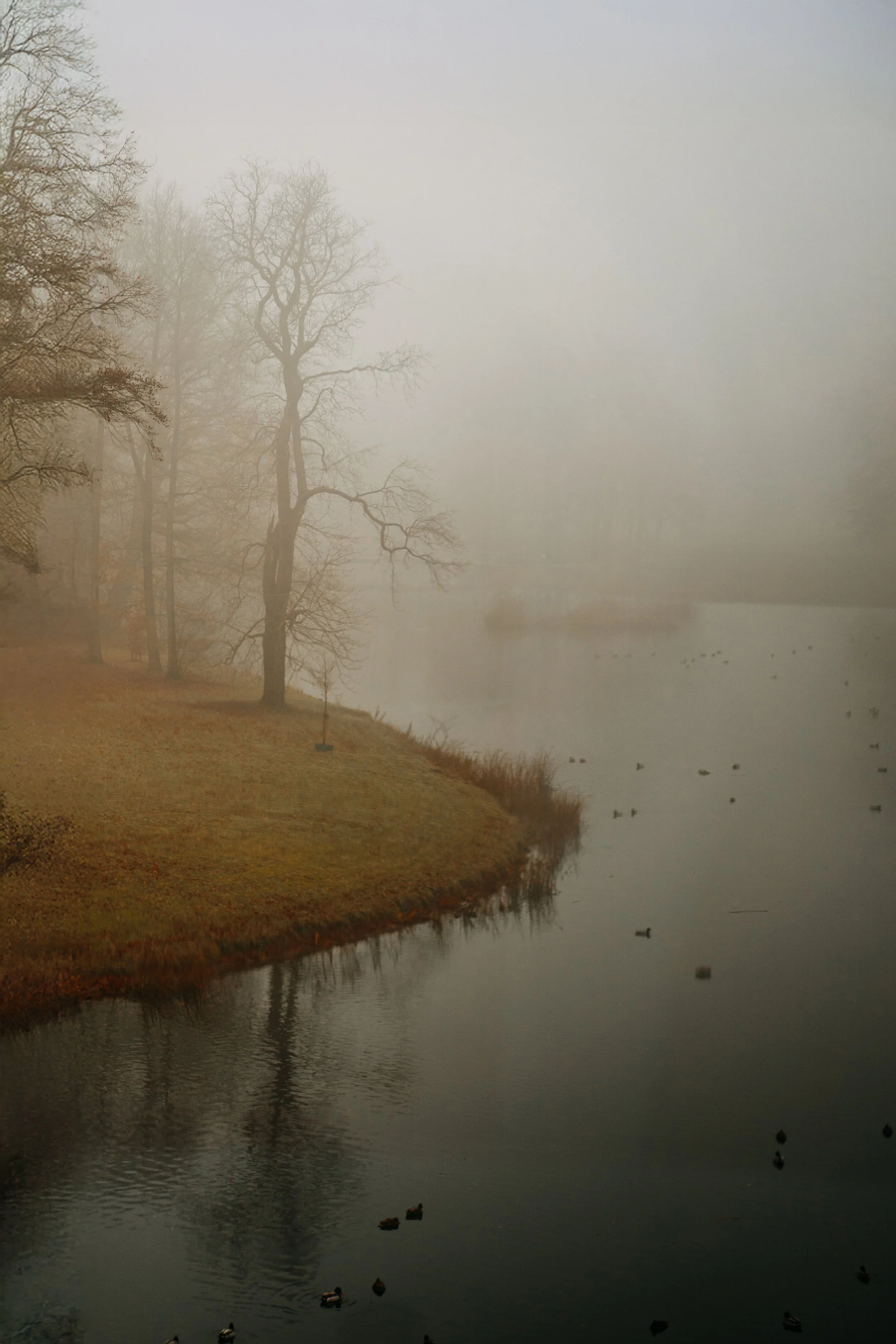 20251126 - Bistro lof - © Chantal Arnts-5.jpg