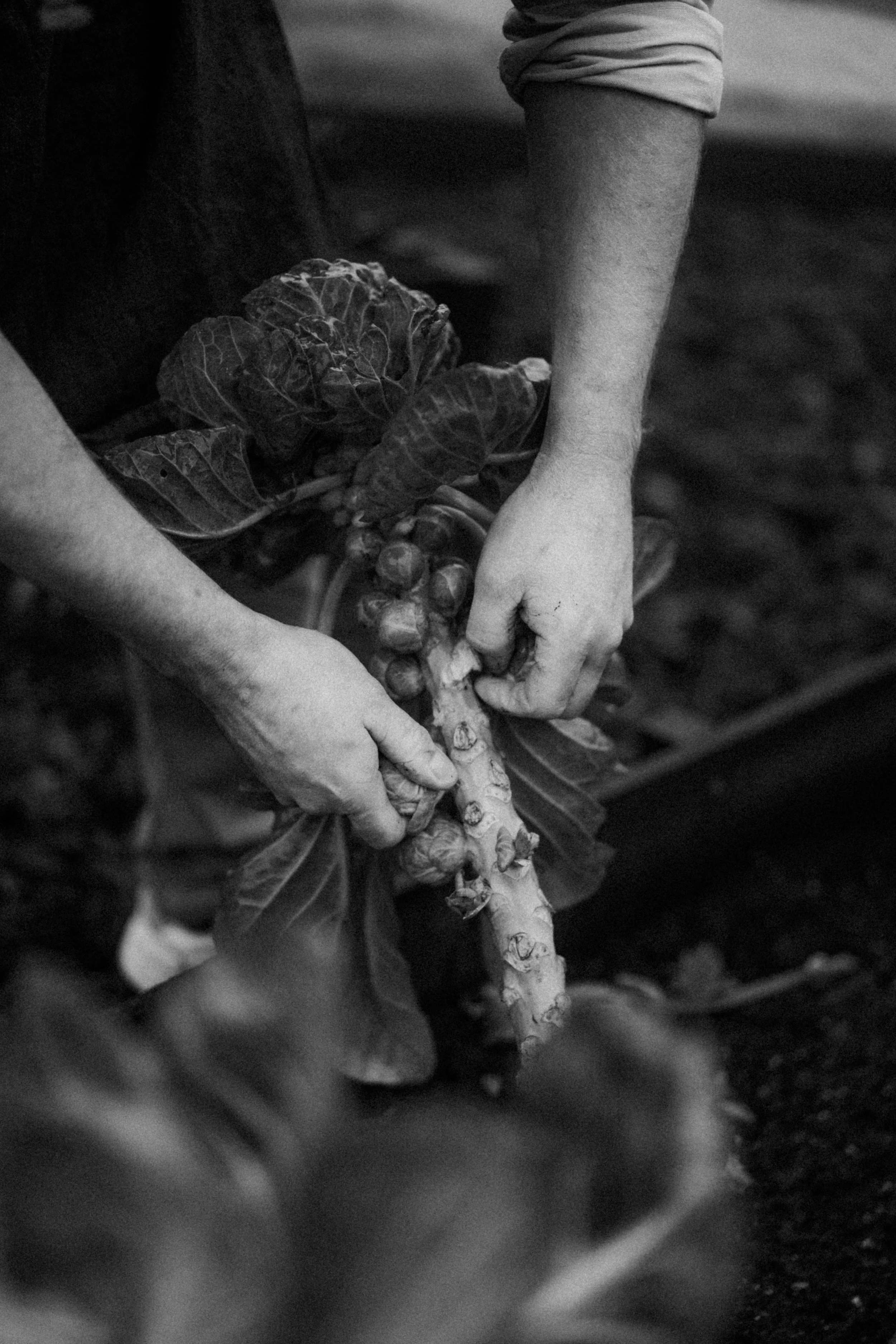 20251126 - Bistro lof - © Chantal Arnts-19.jpg