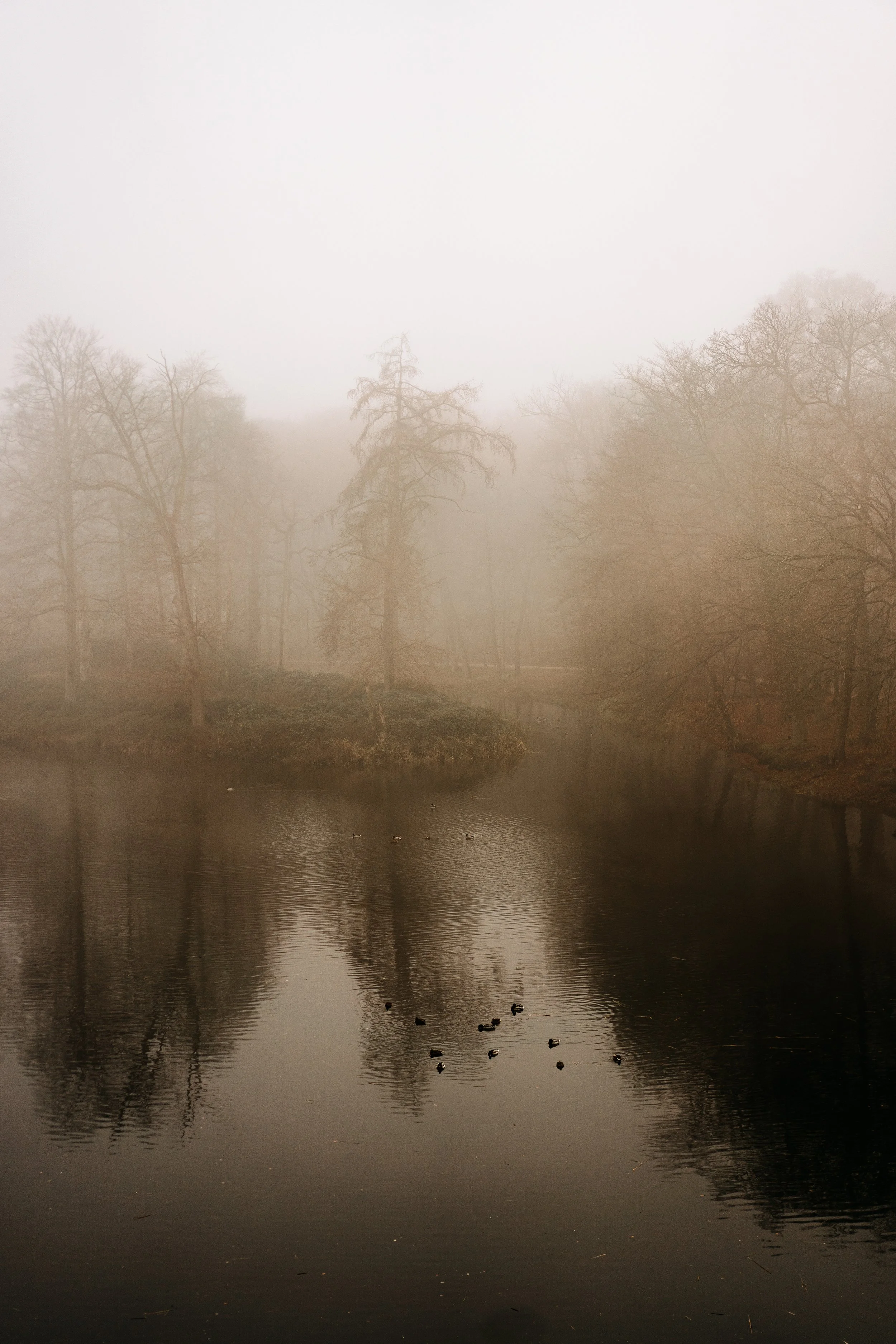 20251126 - Bistro lof - © Chantal Arnts-4.jpg