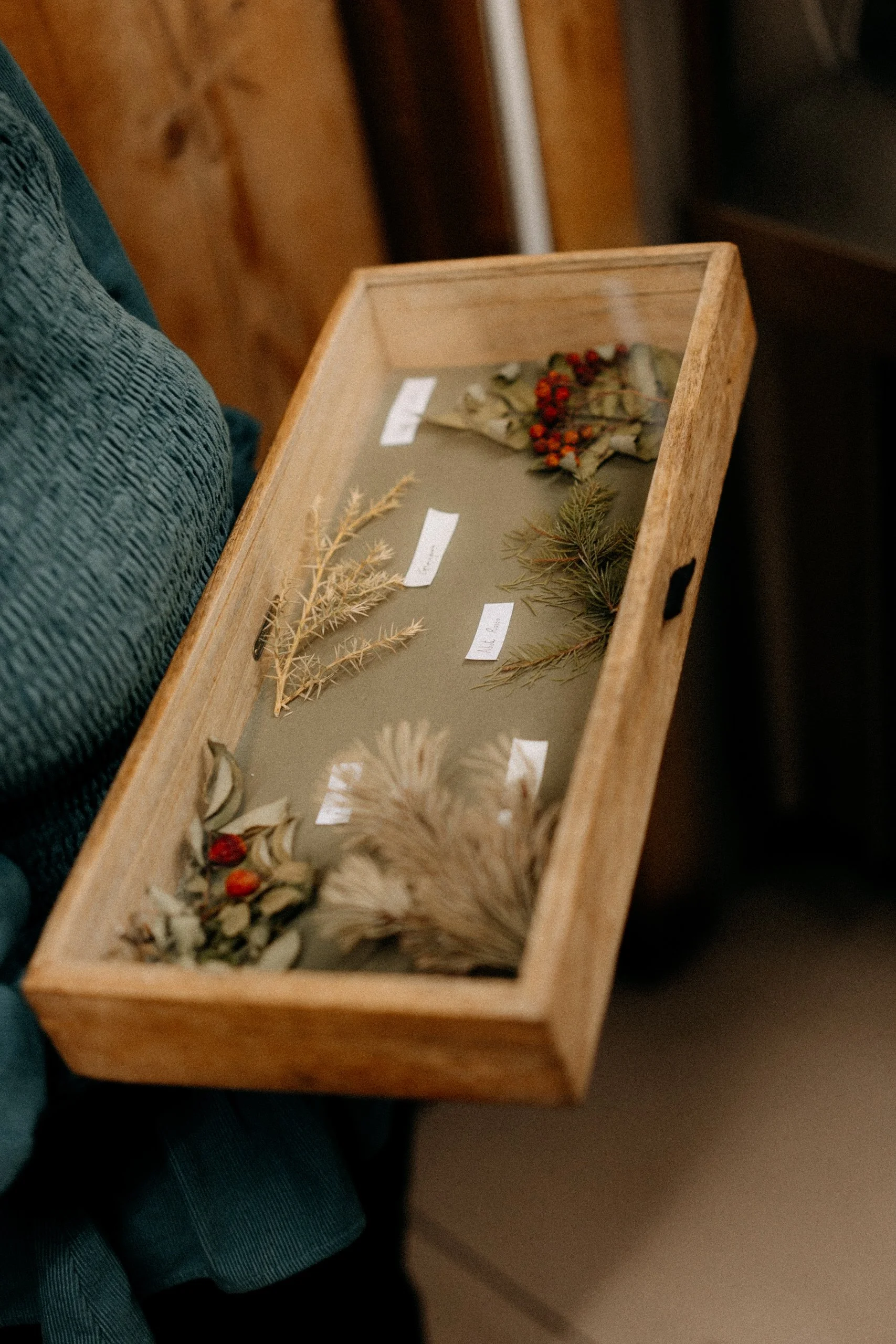 Sanbrite © Chantal Arnts-16.jpg