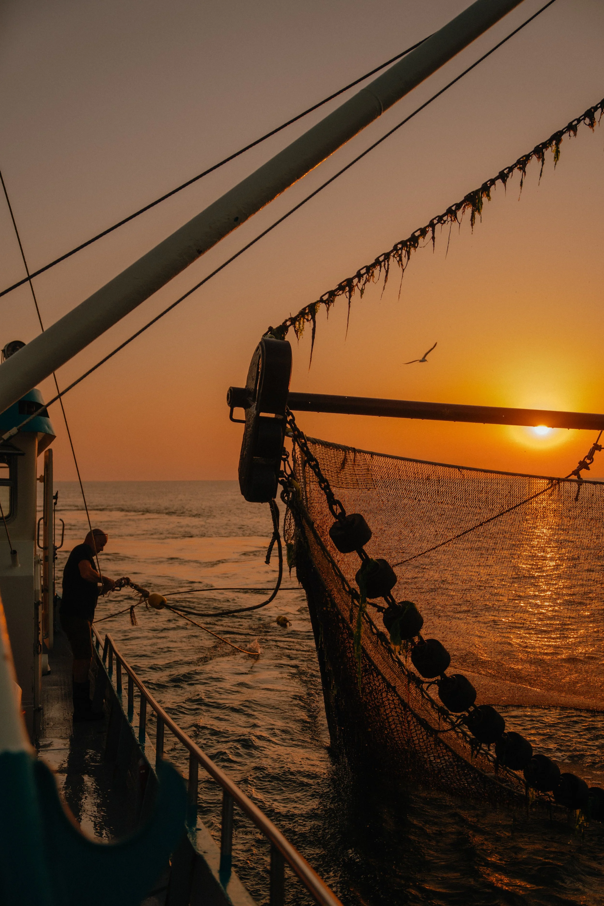 20260113 - Vogue Living Terschelling HR - © Chantal Arnts-17.jpg