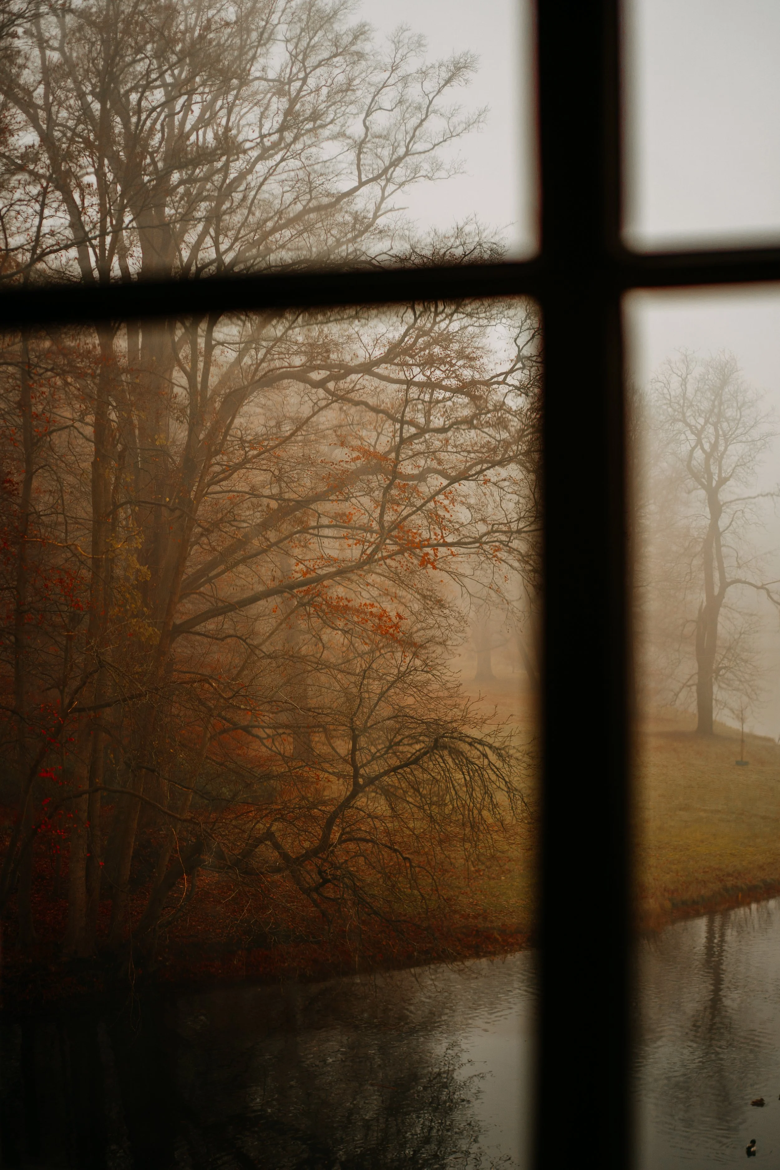 20251126 - Bistro lof - © Chantal Arnts-3.jpg