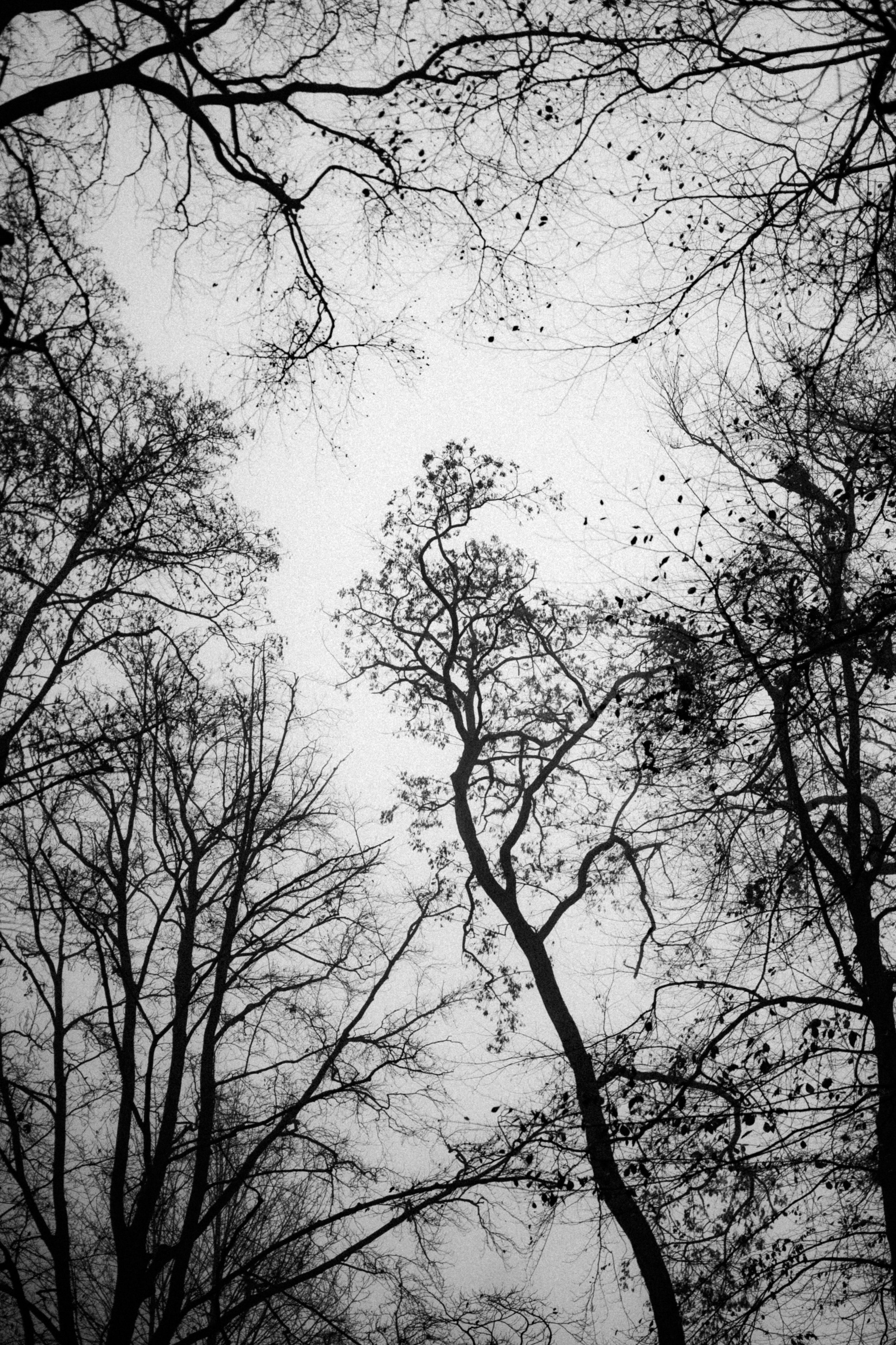 20251126 - Bistro lof - © Chantal Arnts-6.jpg