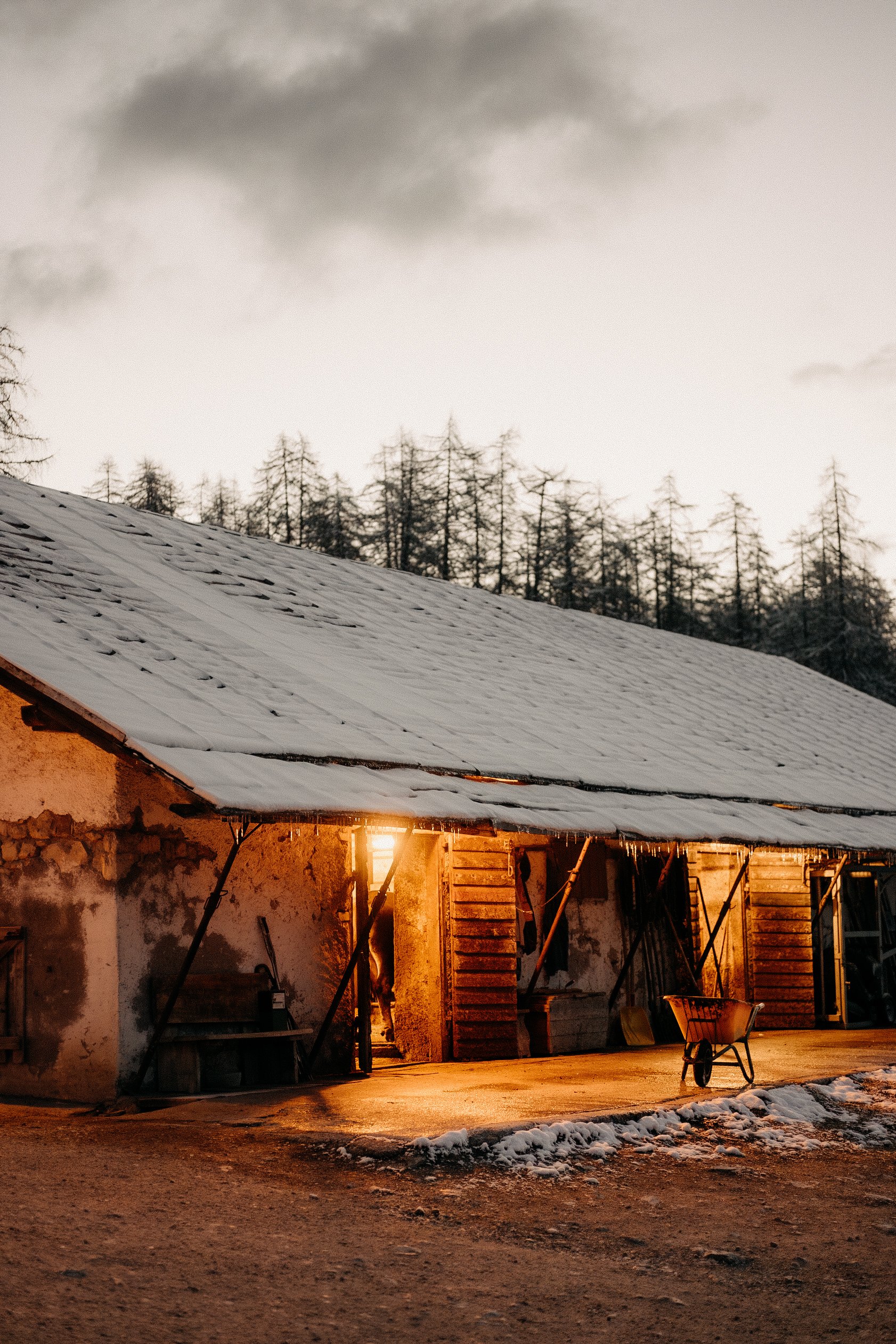 Sanbrite © Chantal Arnts-17.jpg