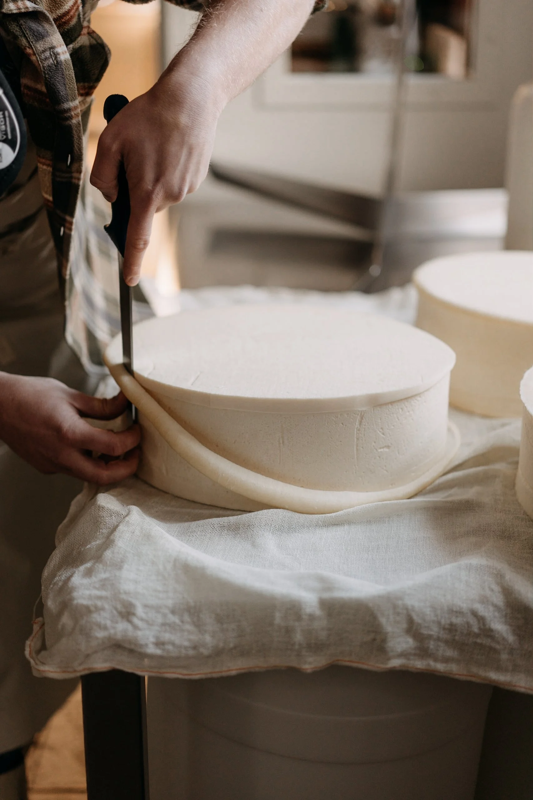 Sanbrite © Chantal Arnts-22.jpg