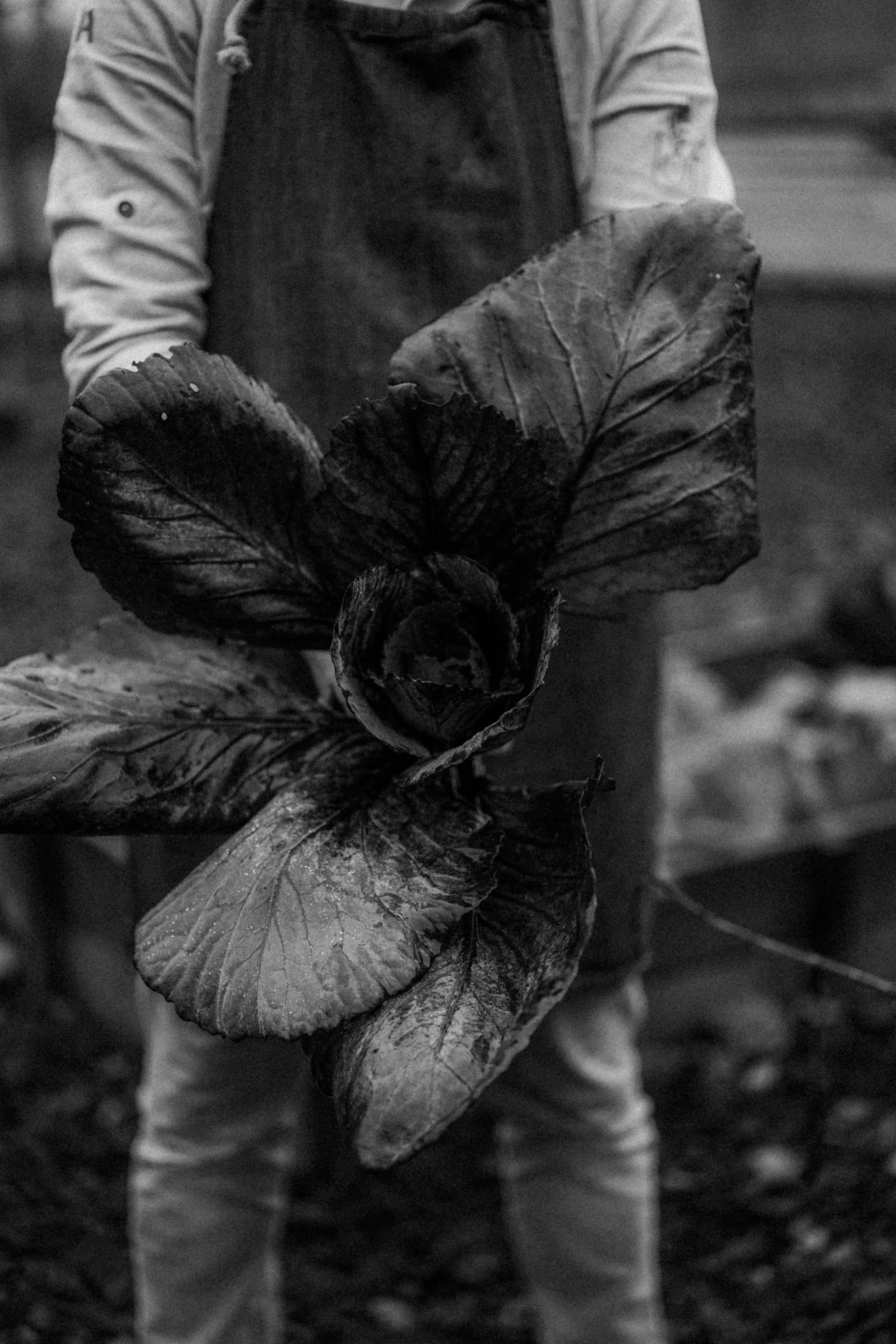 20251126 - Bistro lof - © Chantal Arnts-21.jpg