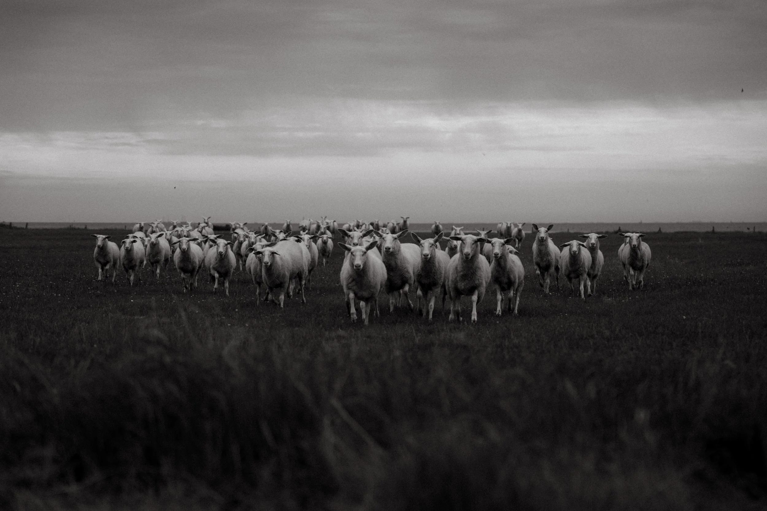 20260113 - Vogue Living Terschelling HR - © Chantal Arnts-21.jpg