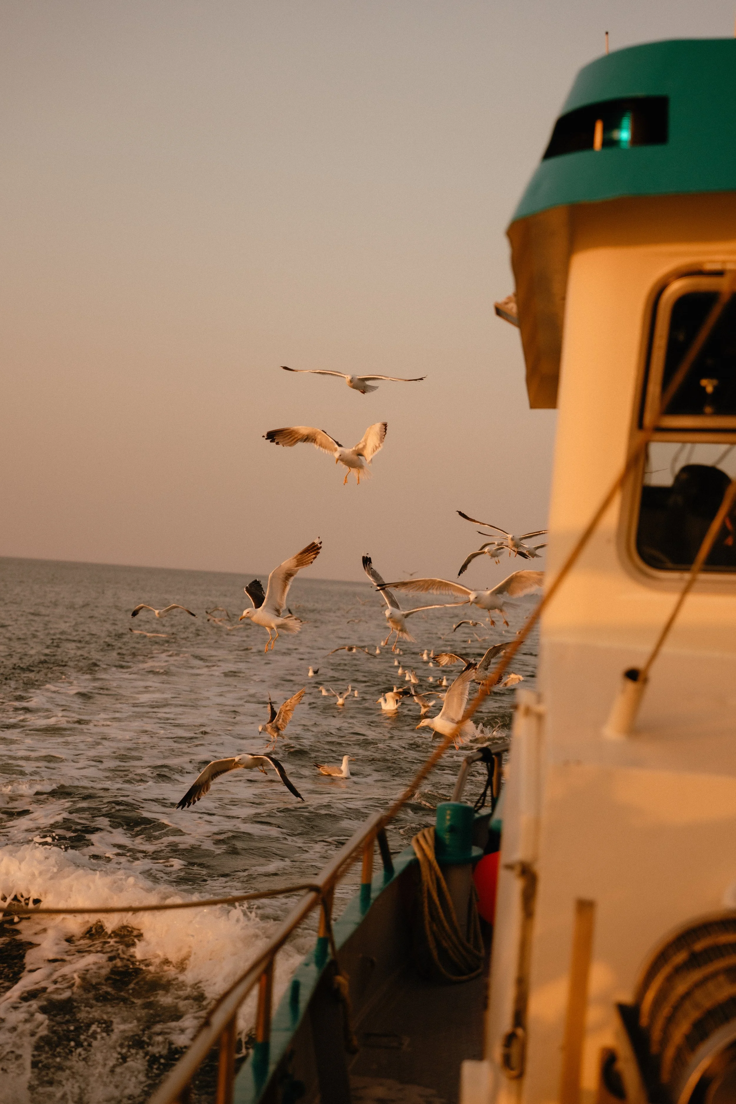 20260113 - Vogue Living Terschelling HR - © Chantal Arnts-19.jpg