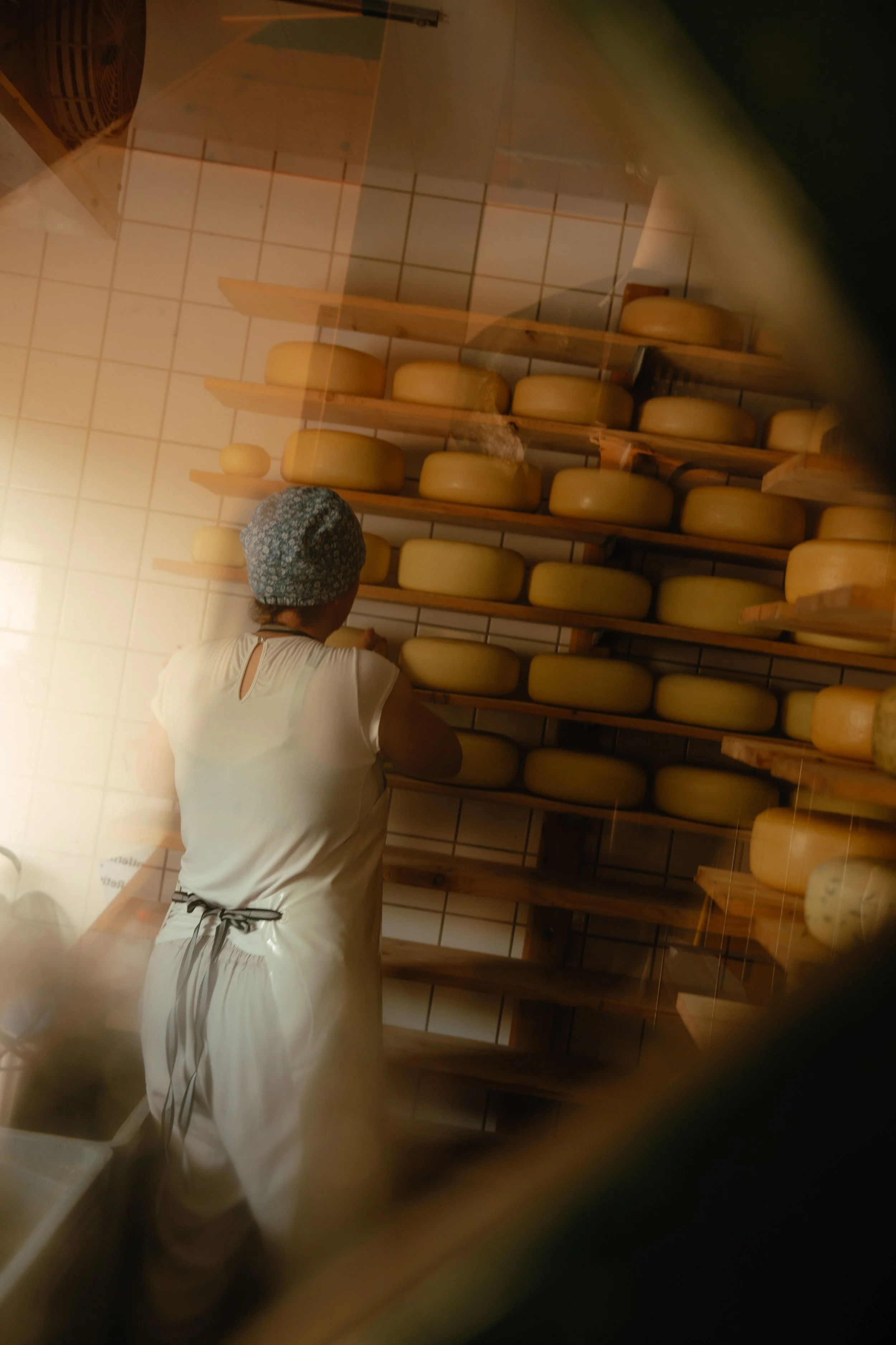 20250811 - Duun Terschelling - © Chantal Arnts-178.jpg